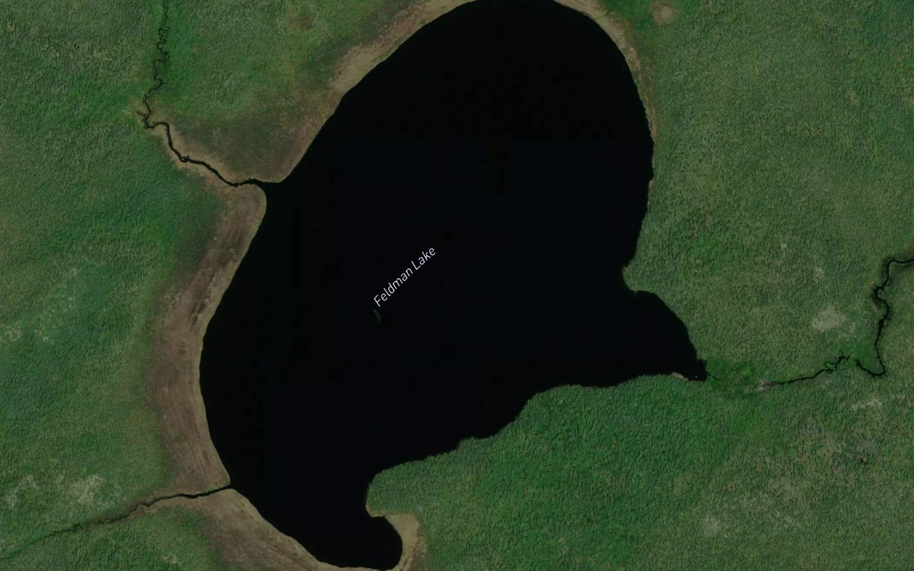 Satellite map of the Feldman Lake