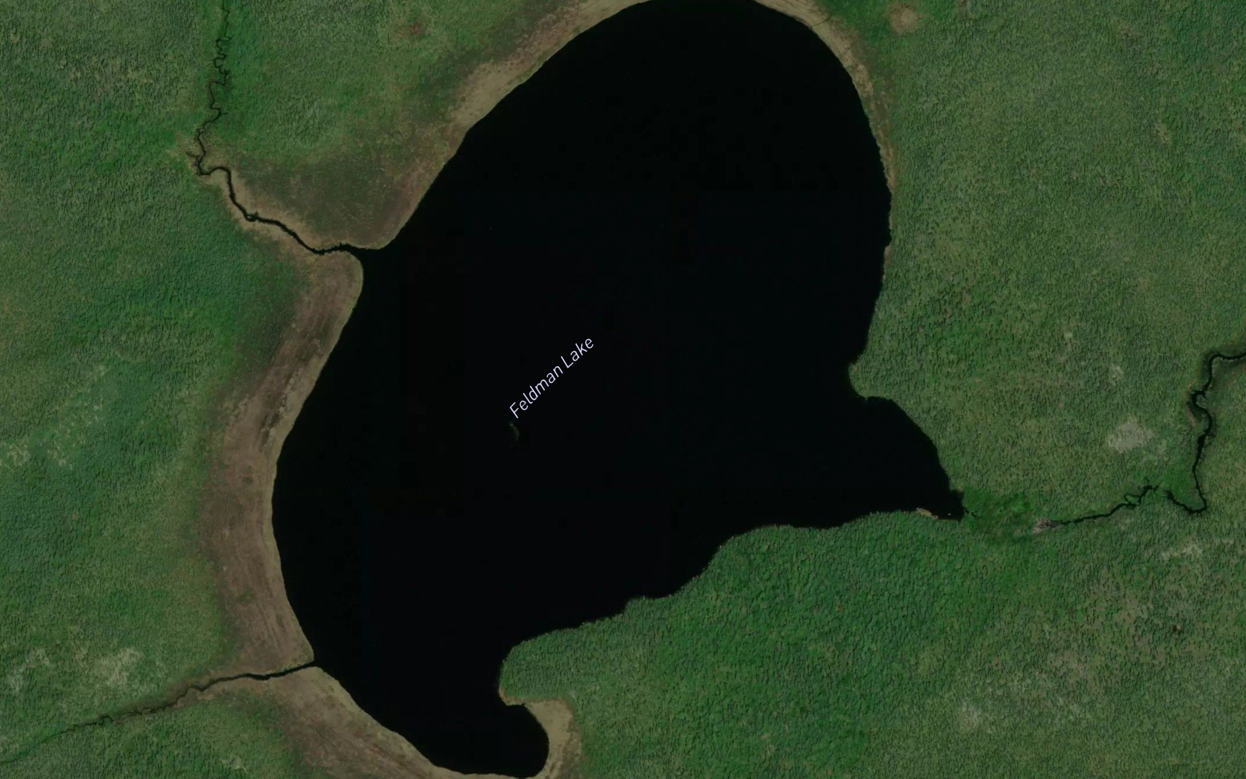 Feldman Lake