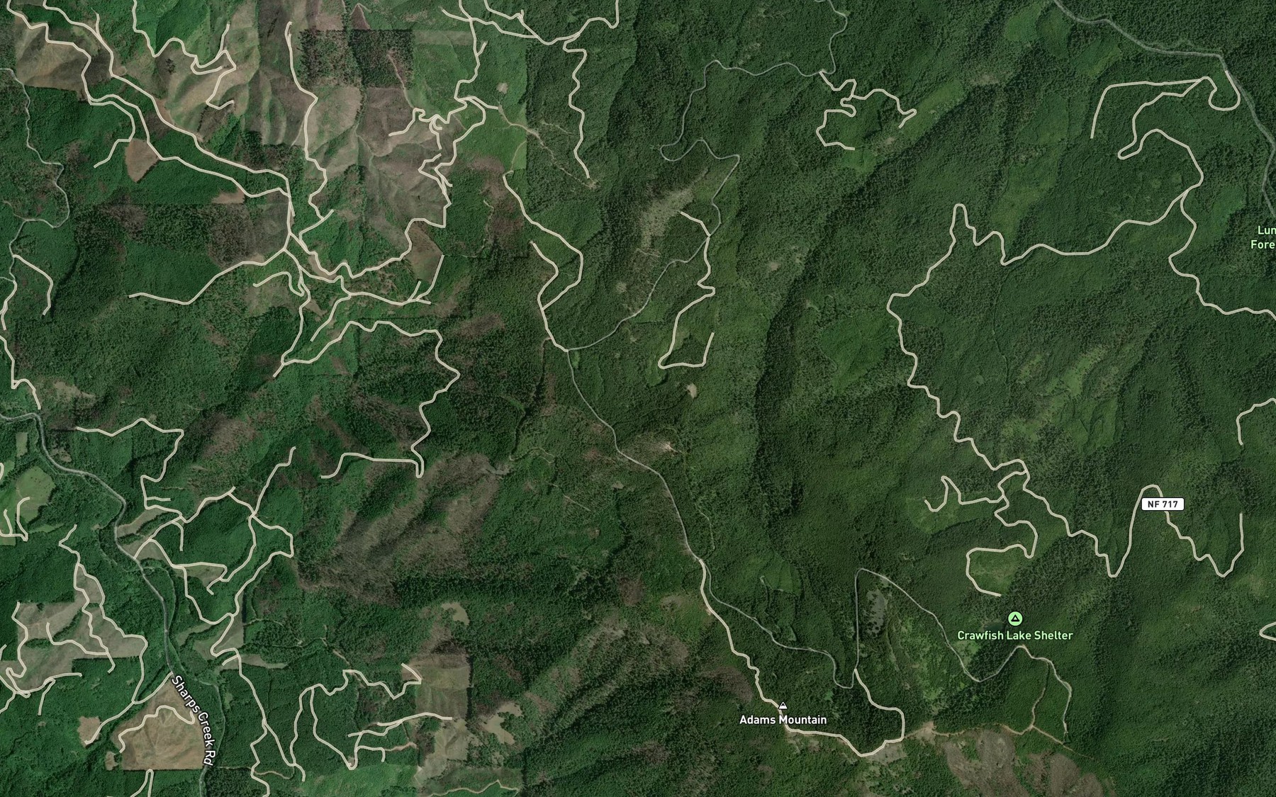 Satellite map of the Cedar Spring