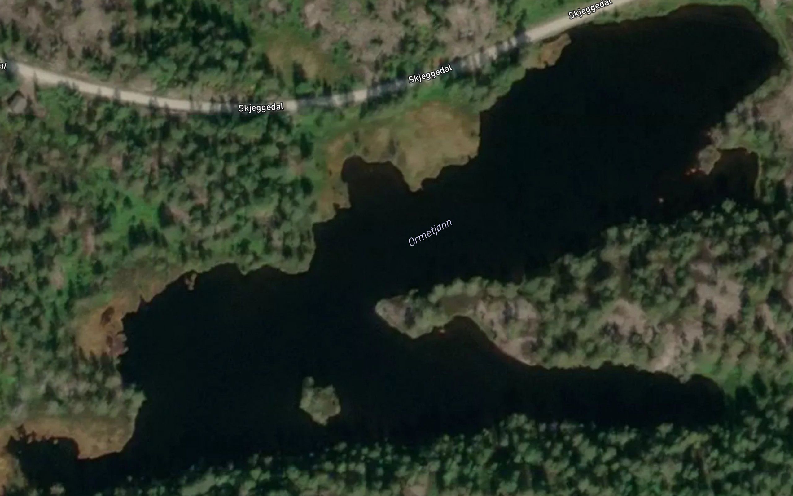 Ormetjorn