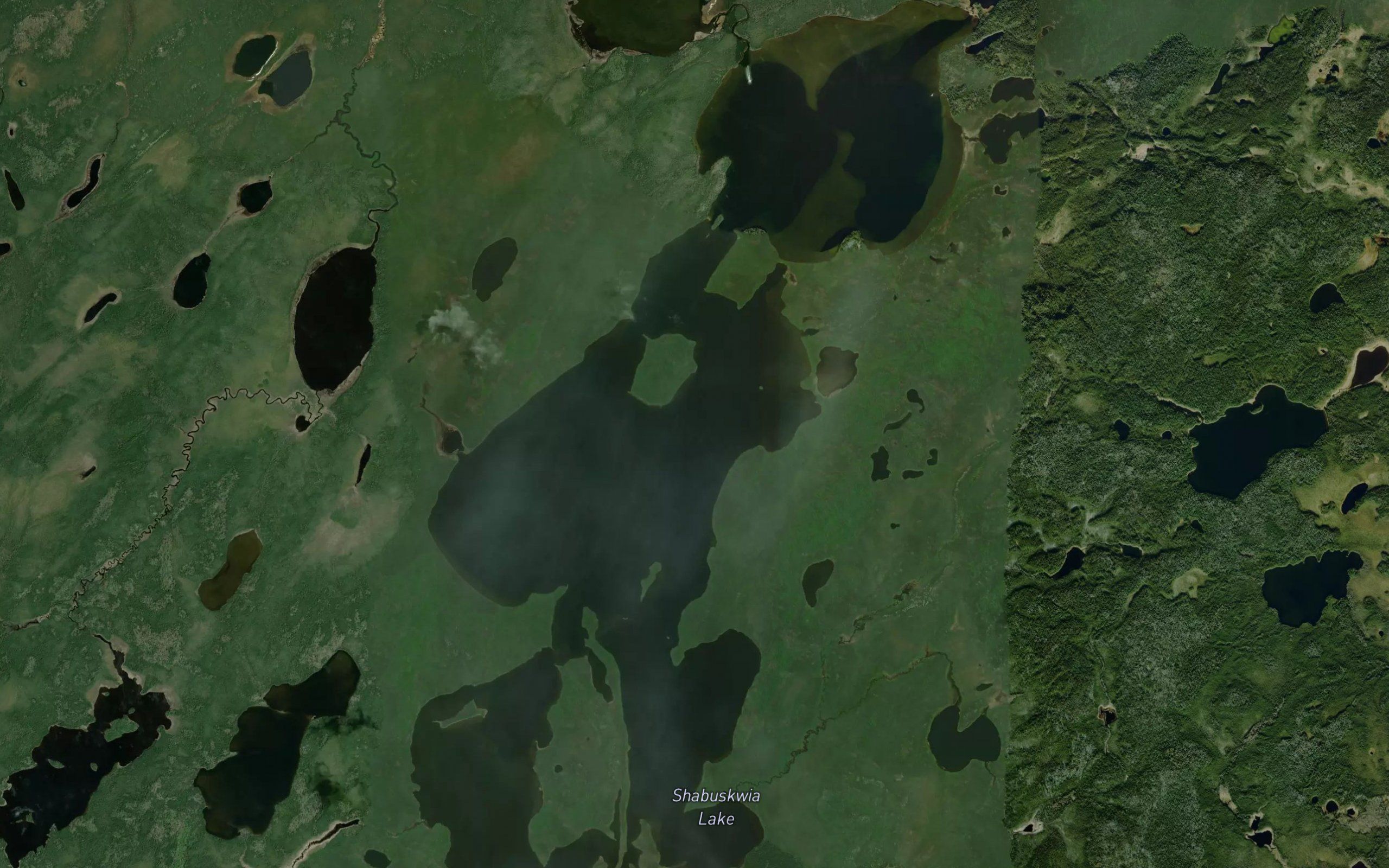 Shabuskwia Lake