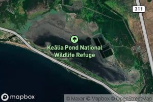 Kealia Pond