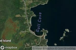 Gull Cove