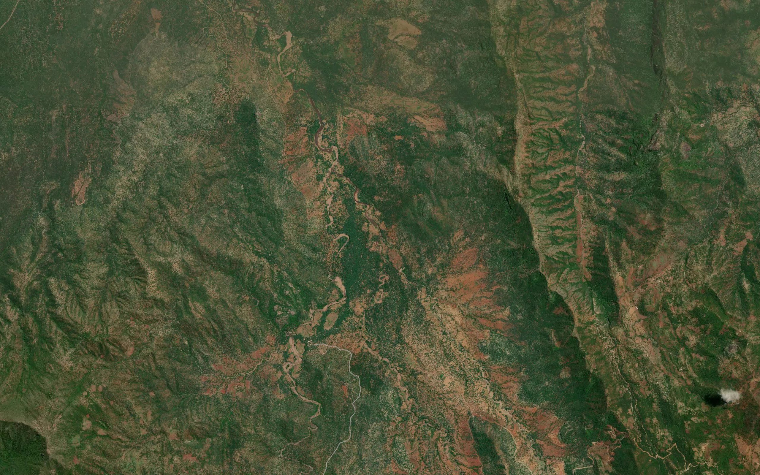 Sinjo