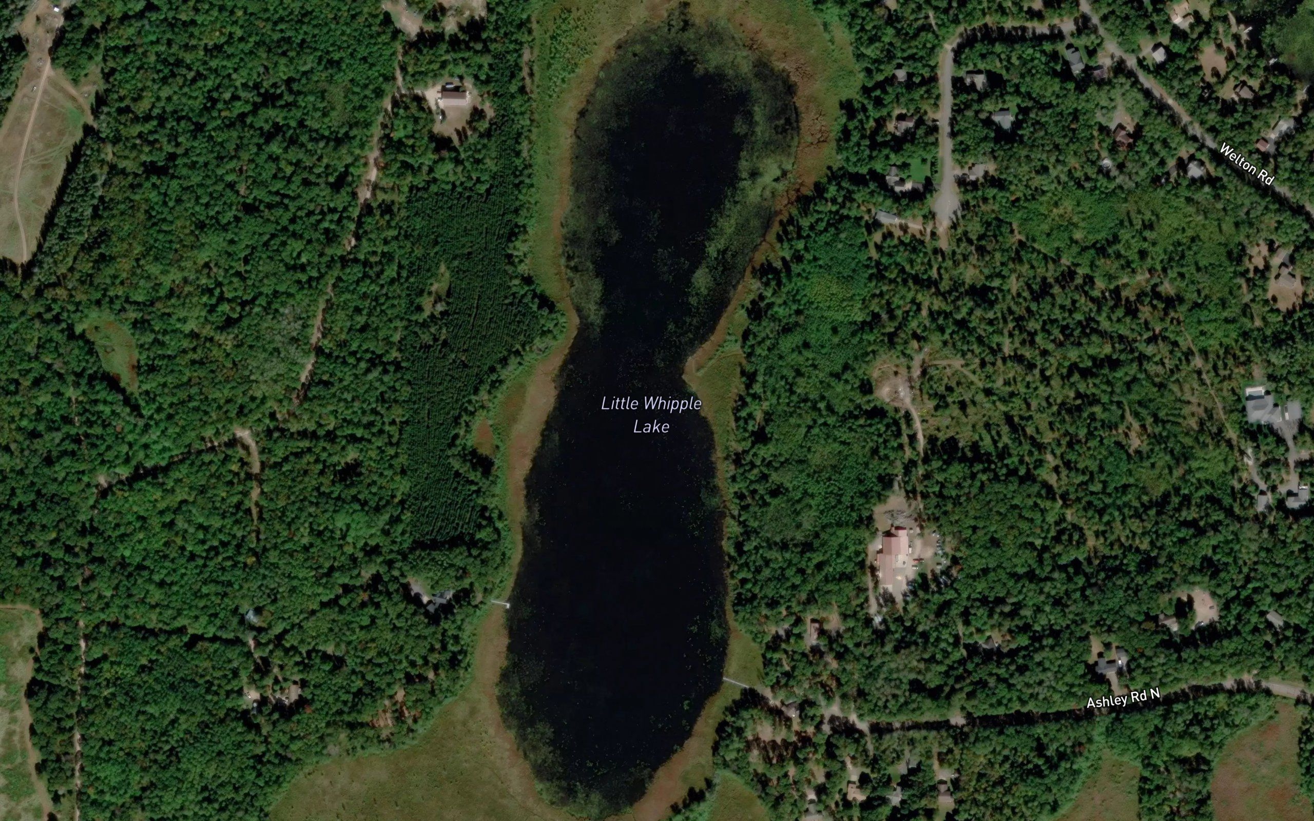 Little Whipple Lake