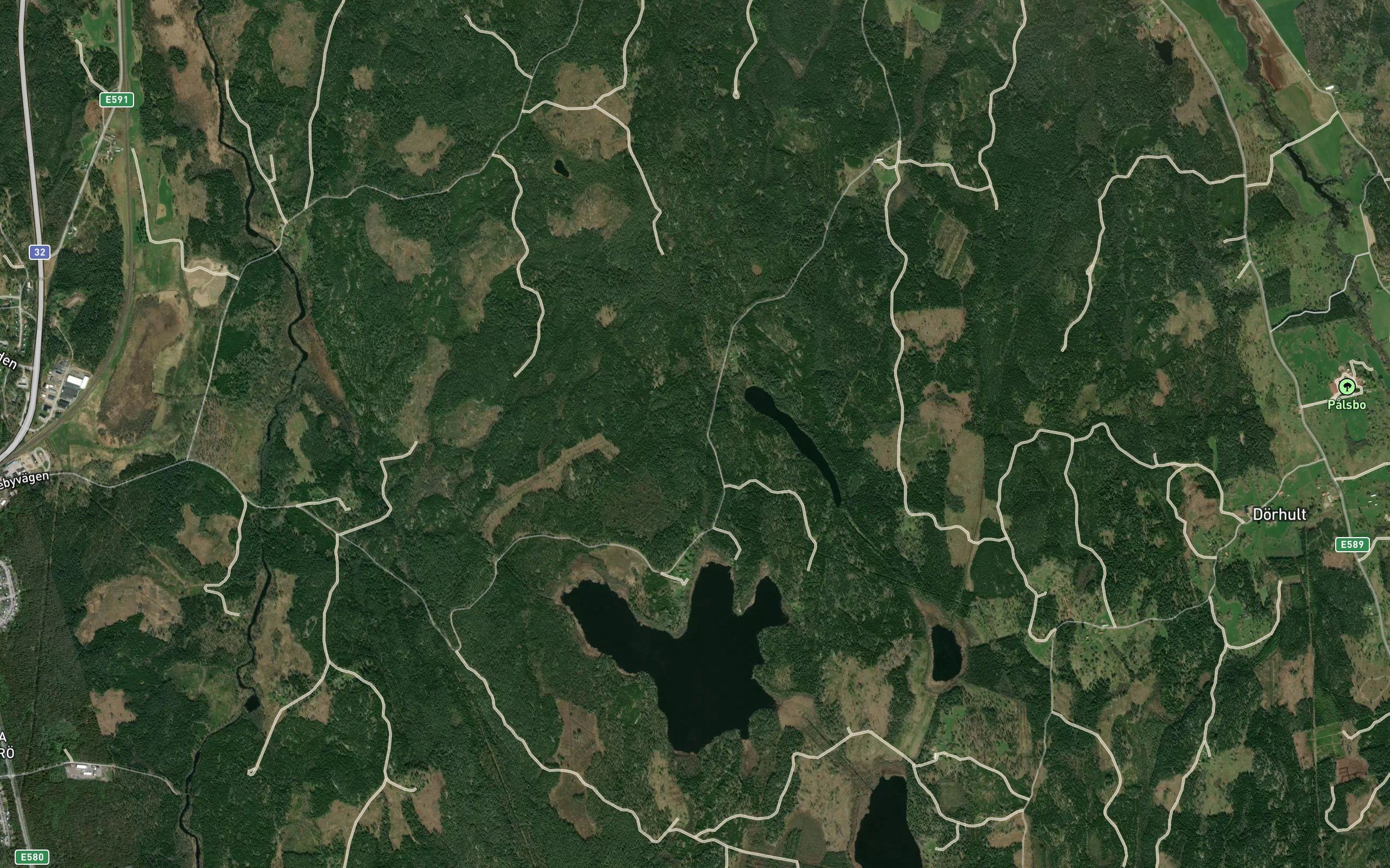 Sjogarpasjon