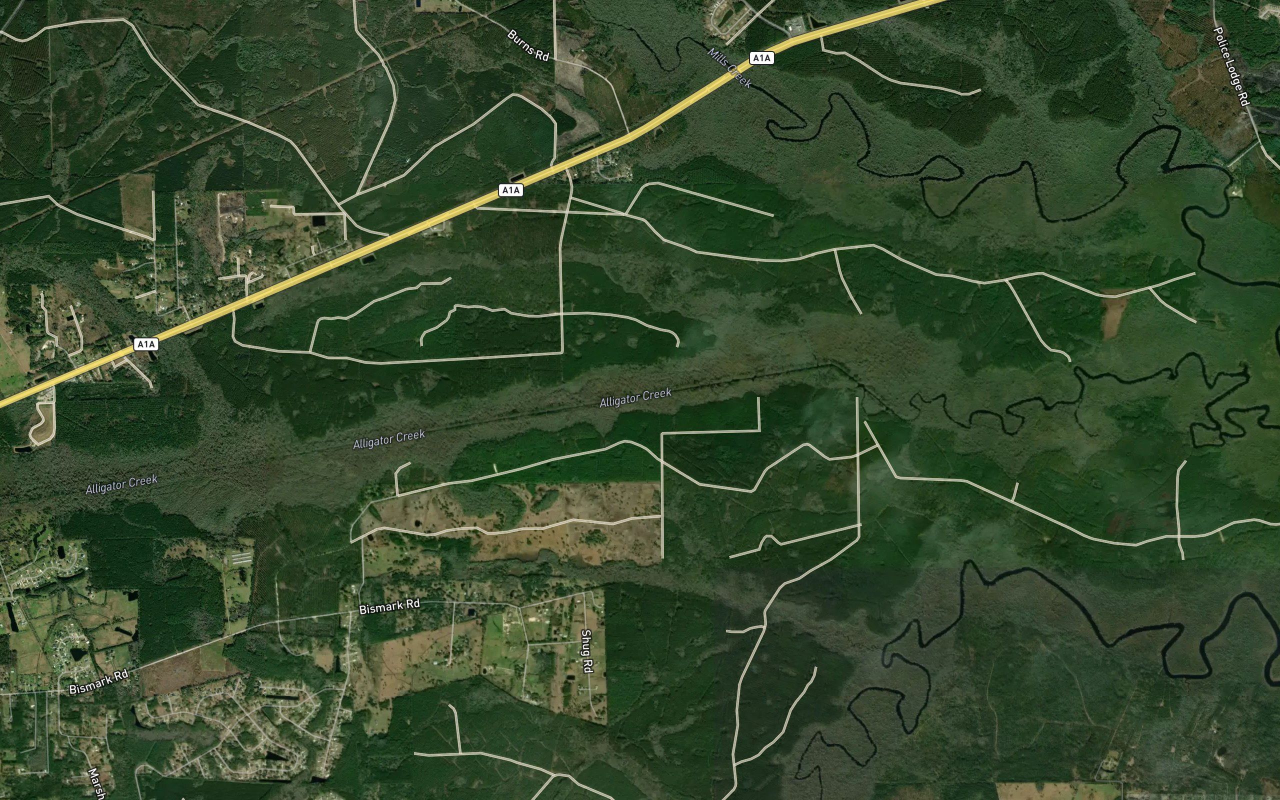 Alligator Creek