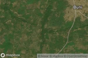 Buni