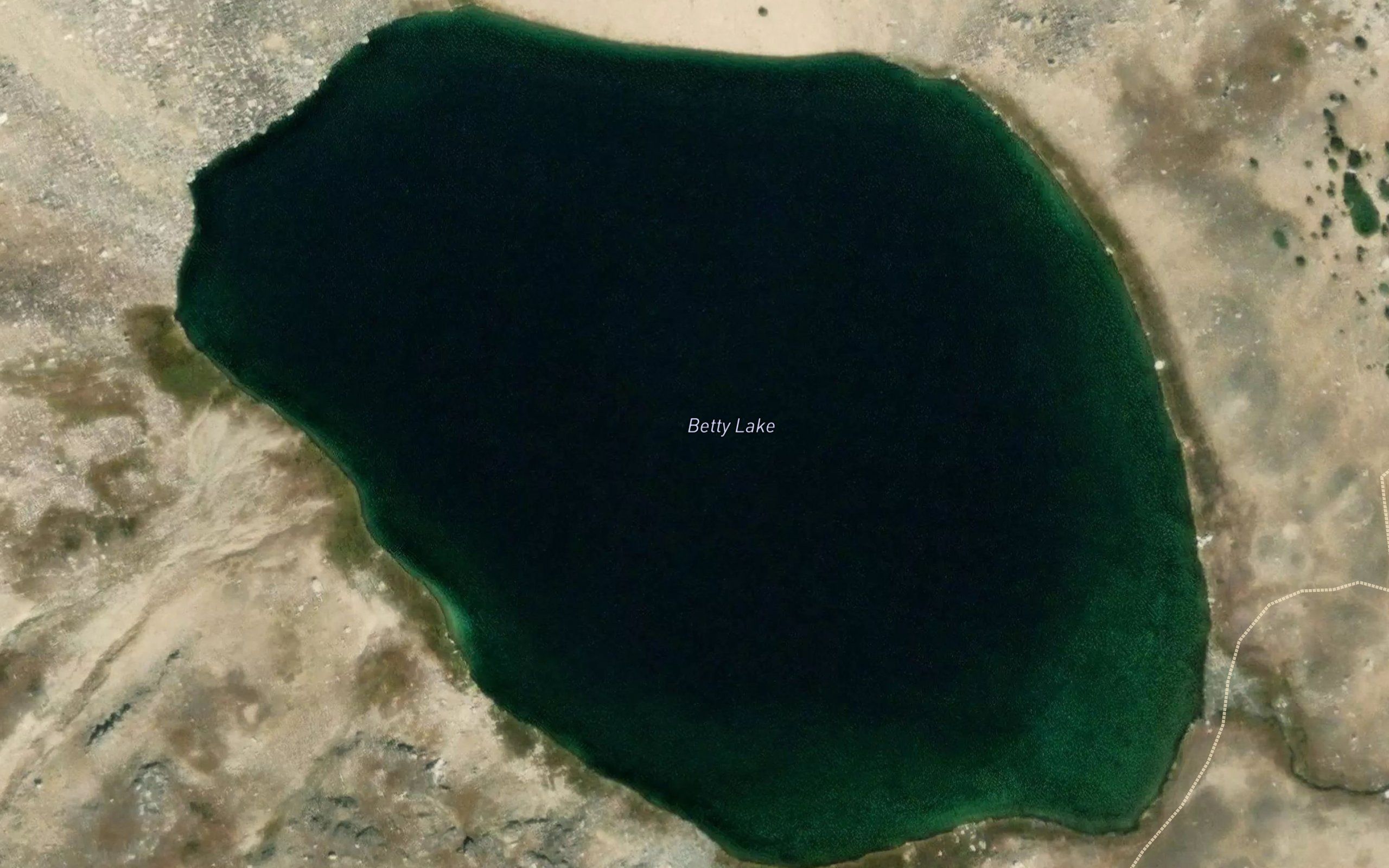 Betty Lake