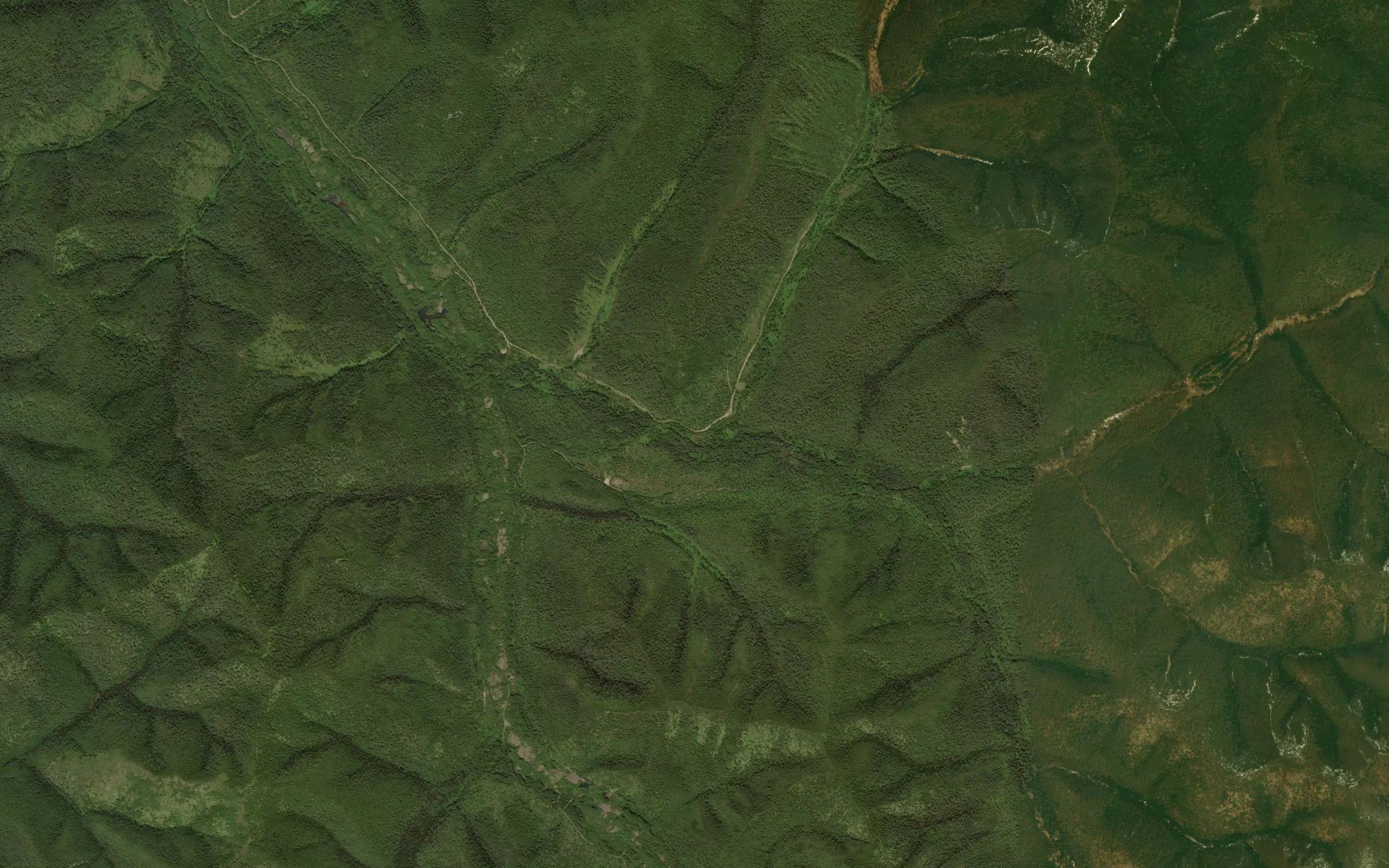 Priiskovyy