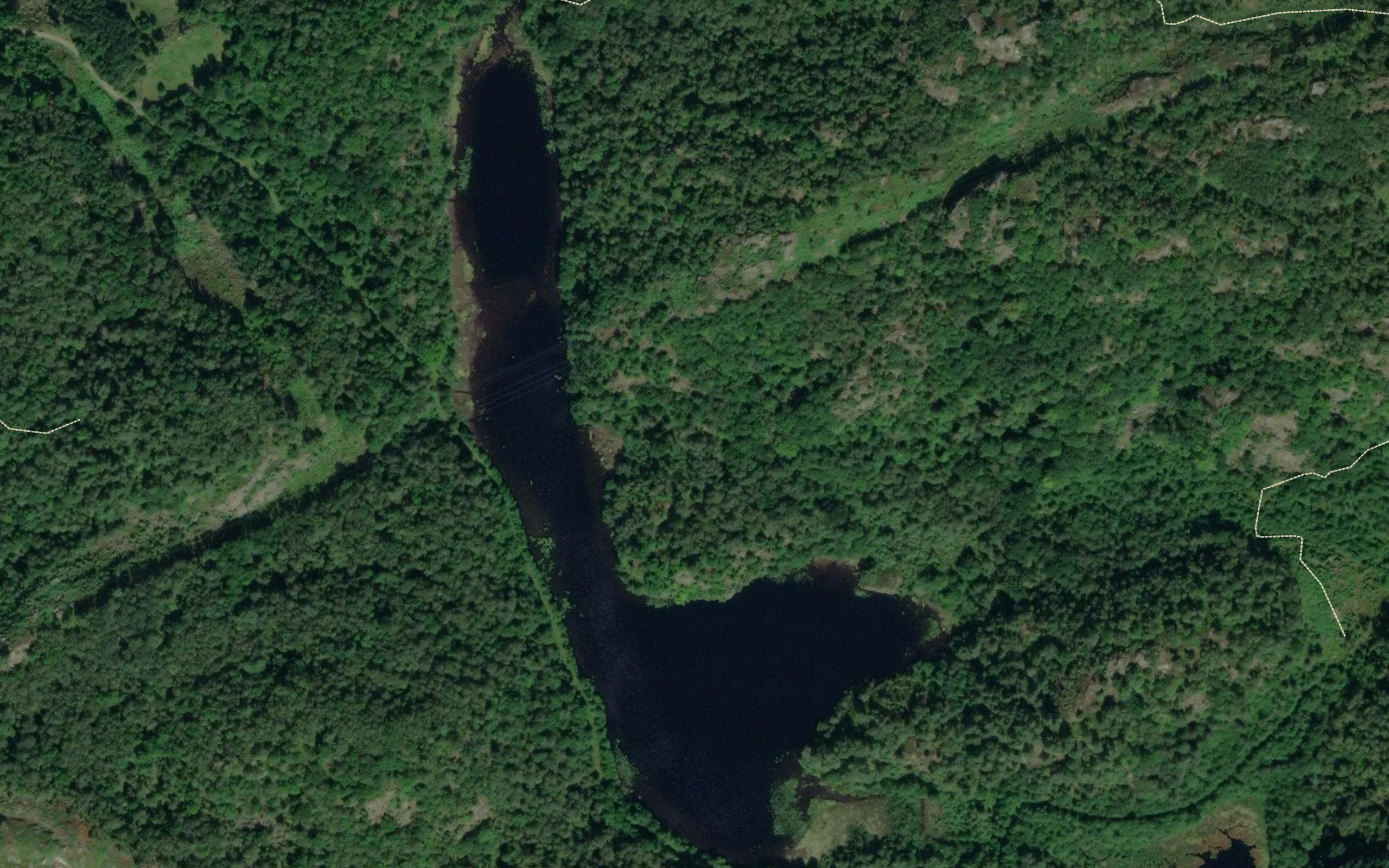 Bordalsvannet