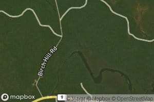 Harmon Brook