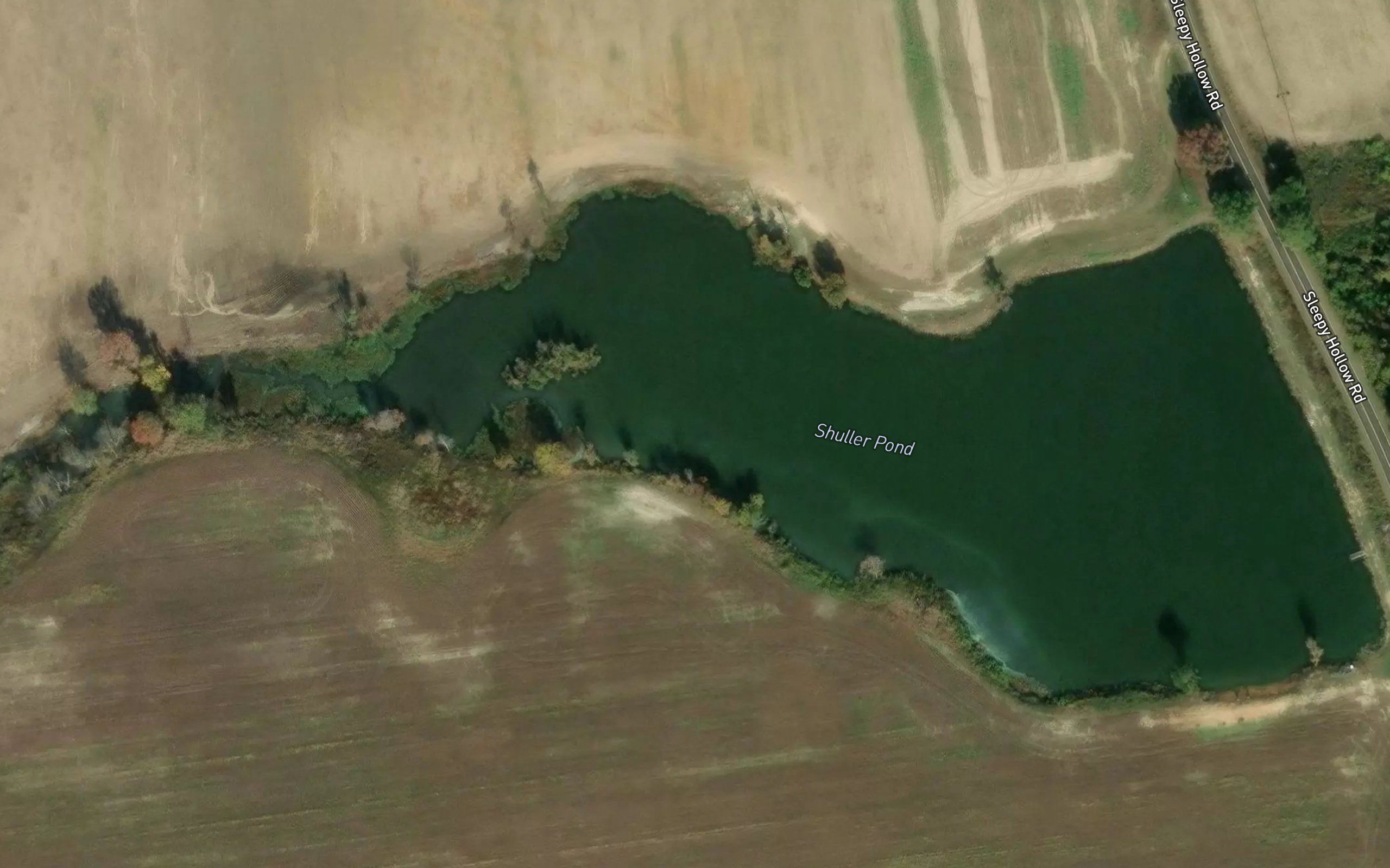 Shuller Pond