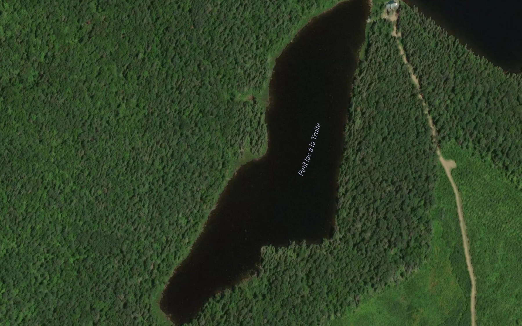 Satellite map of the Petit lac a la Truite