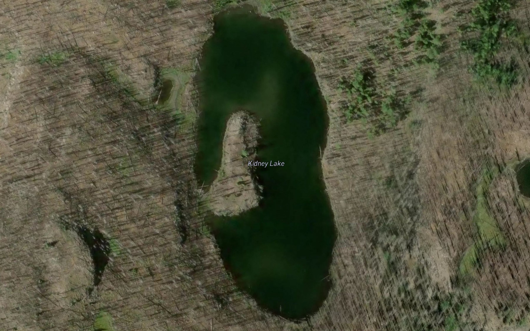 Satellite map of the Kidney Lake