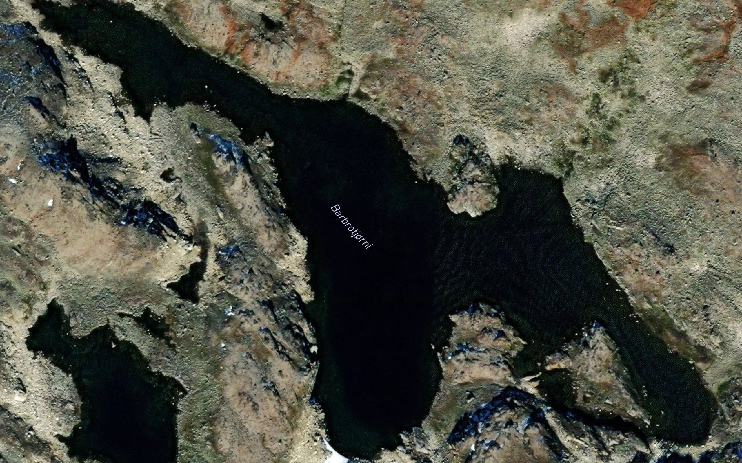 Barbrotjorni