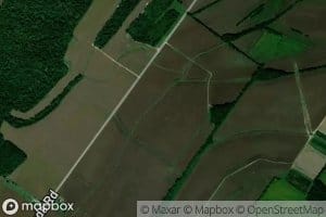 Haynes Woods Ditch