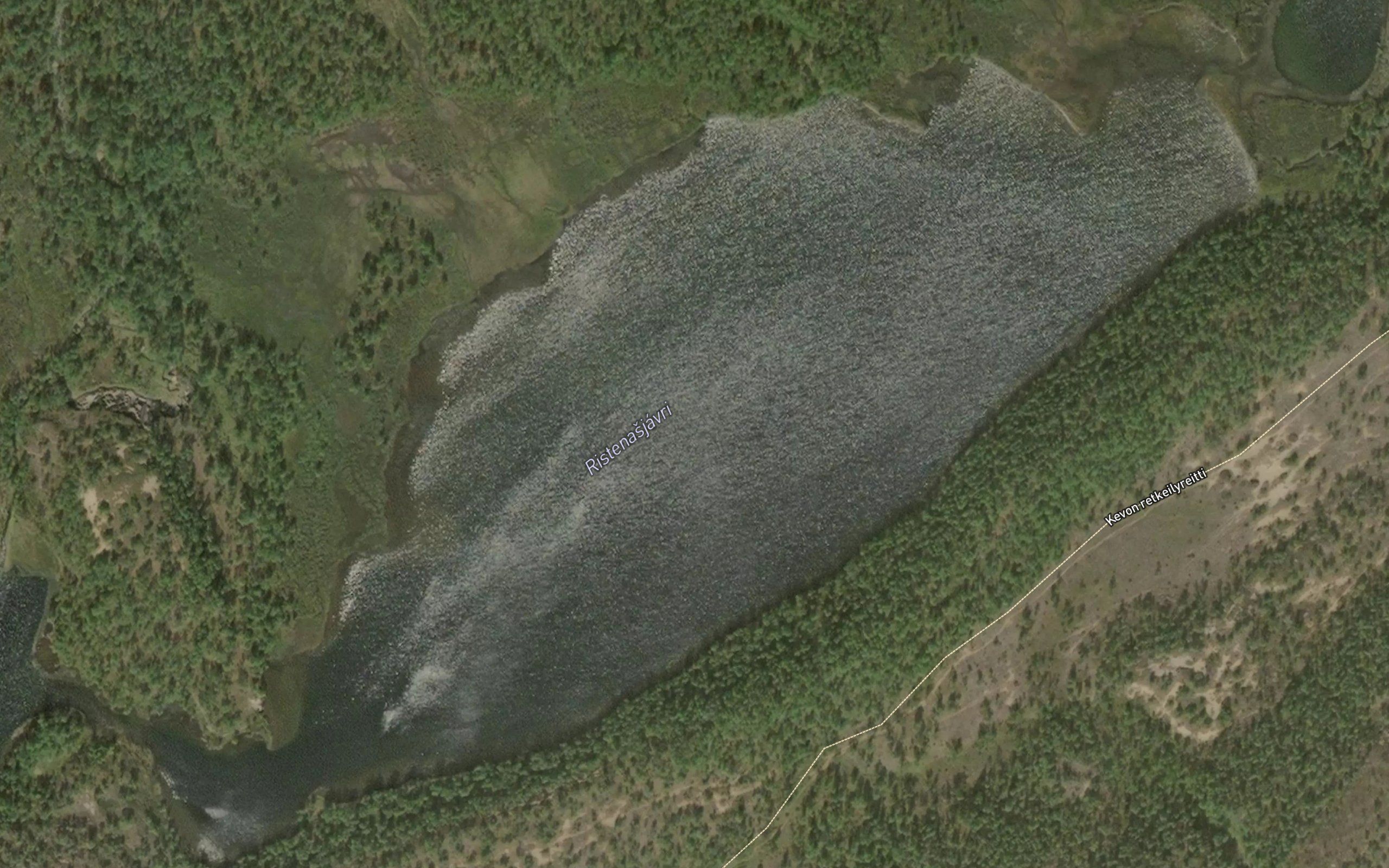Ristenasjavri