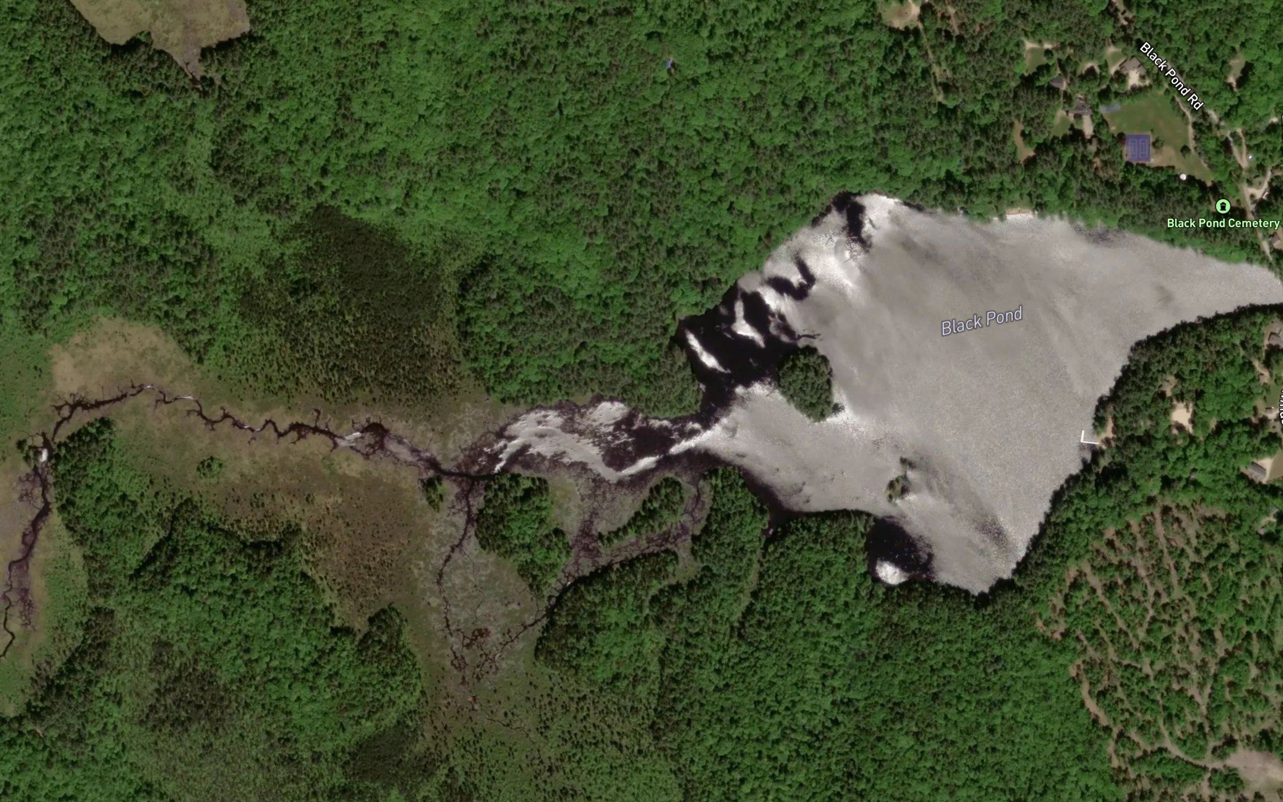 Black Pond