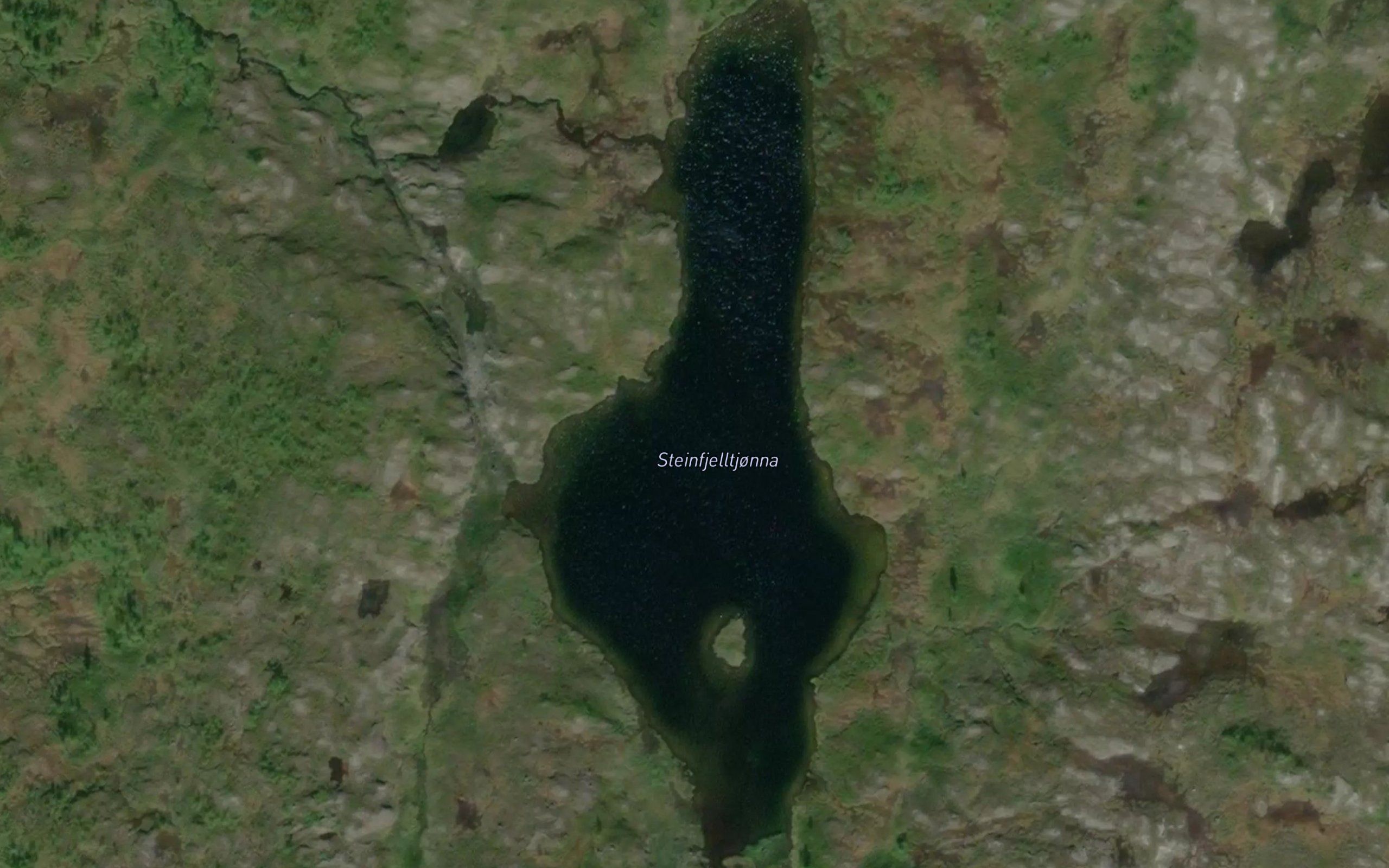 Steinfjelltjorna