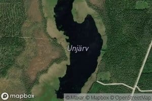 Unjarv