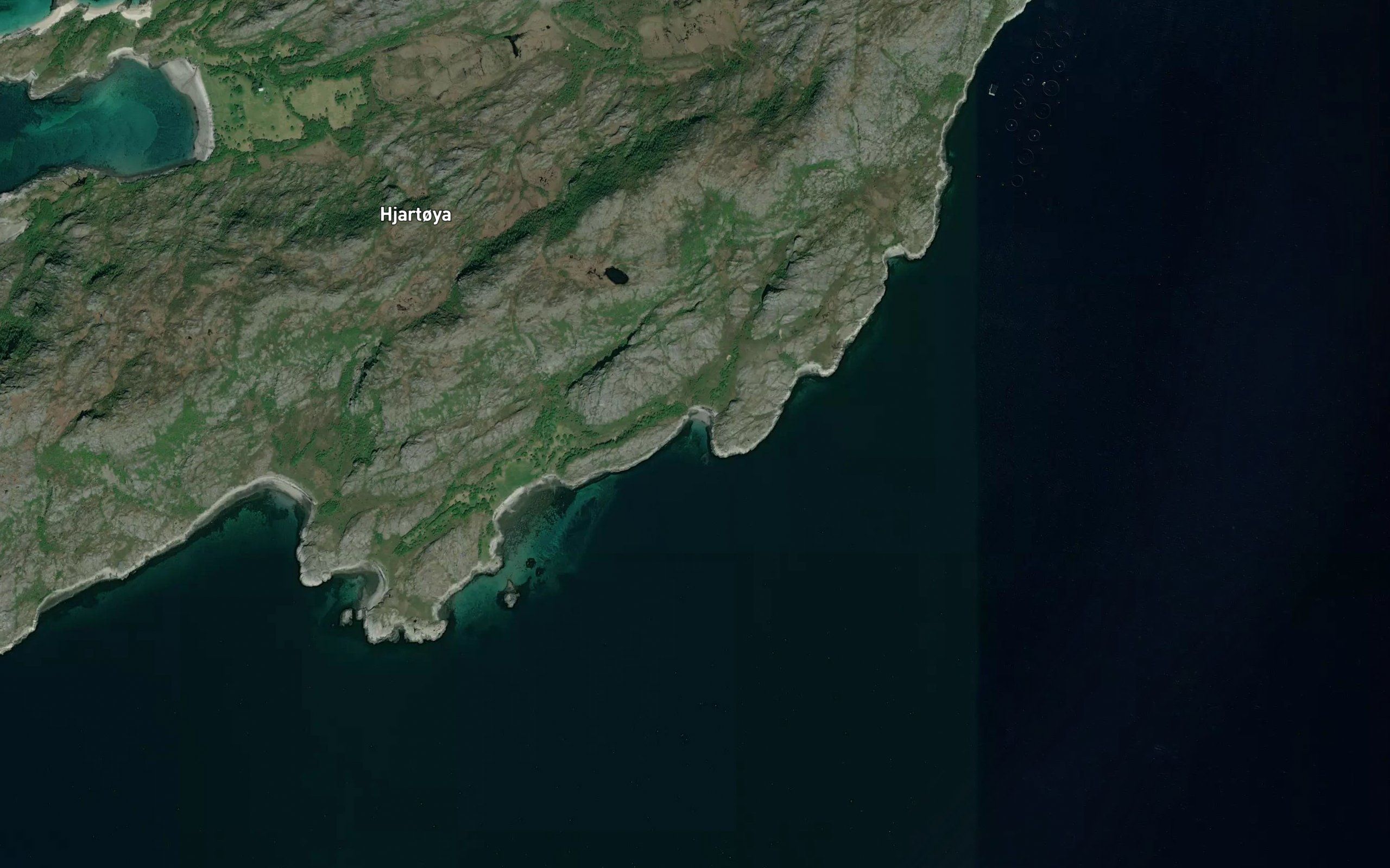 Gongvika