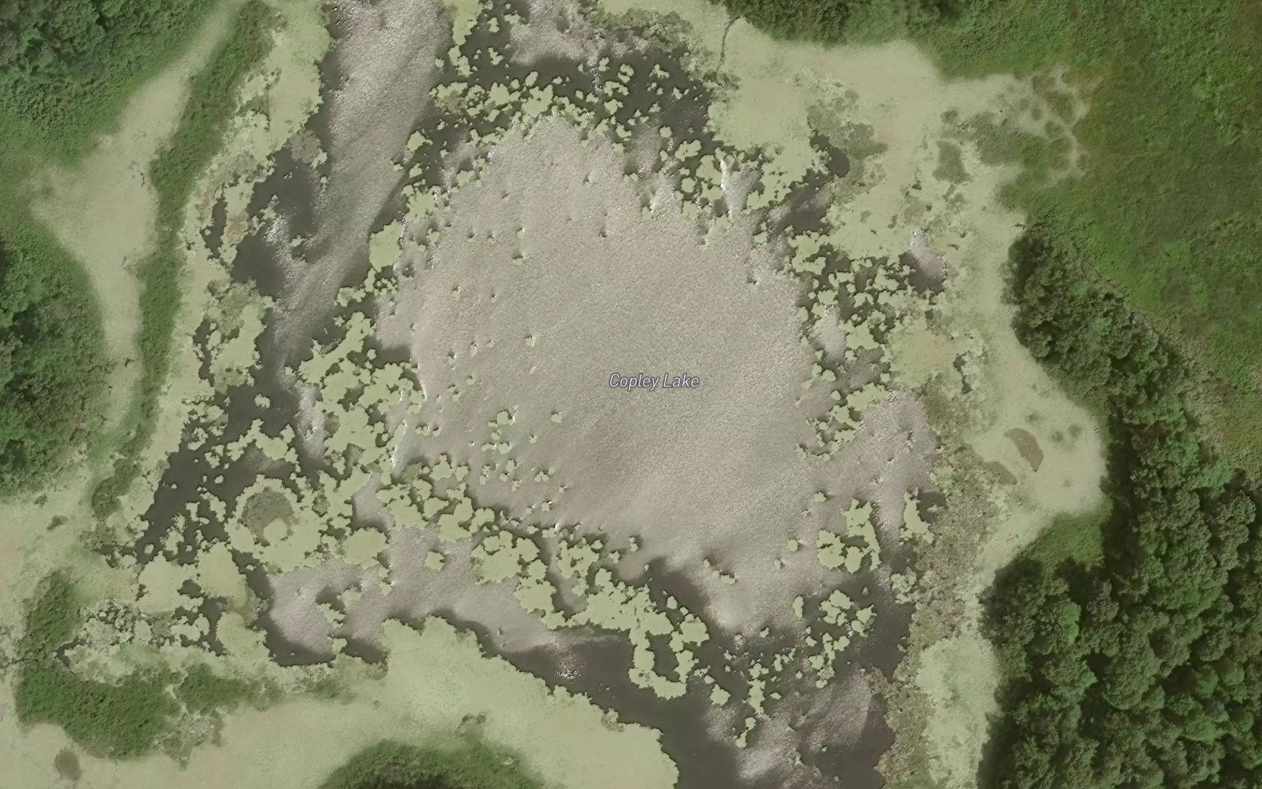 Satellite map of the Copley Lake