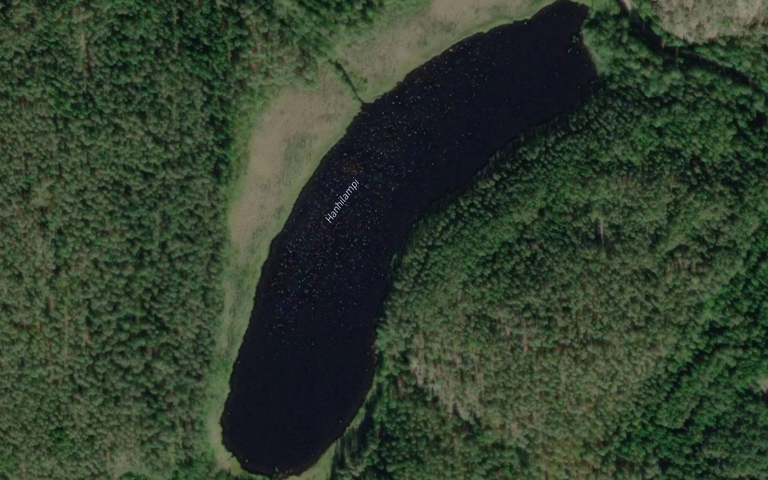 Hanhilampi
