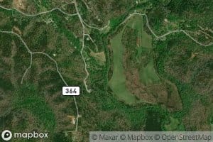 Tobacco Pouch Branch