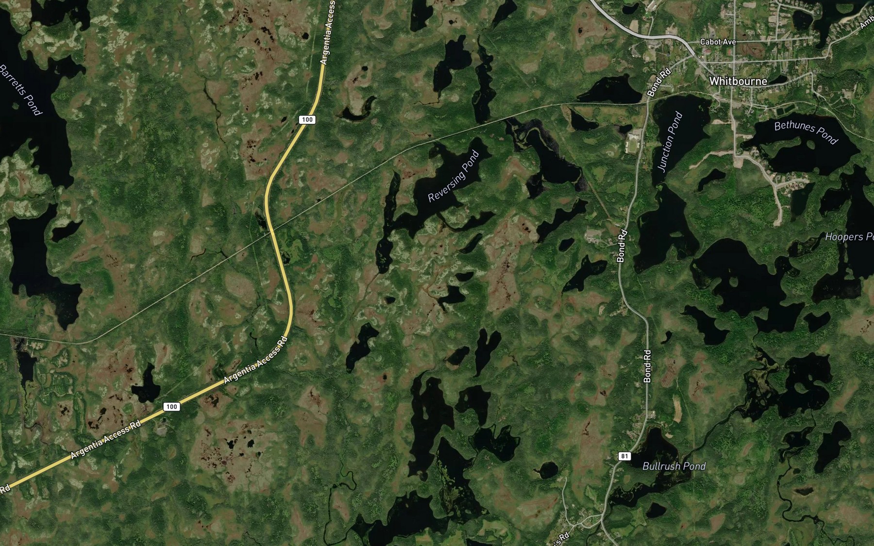 Satellite map of the Reversing Pond