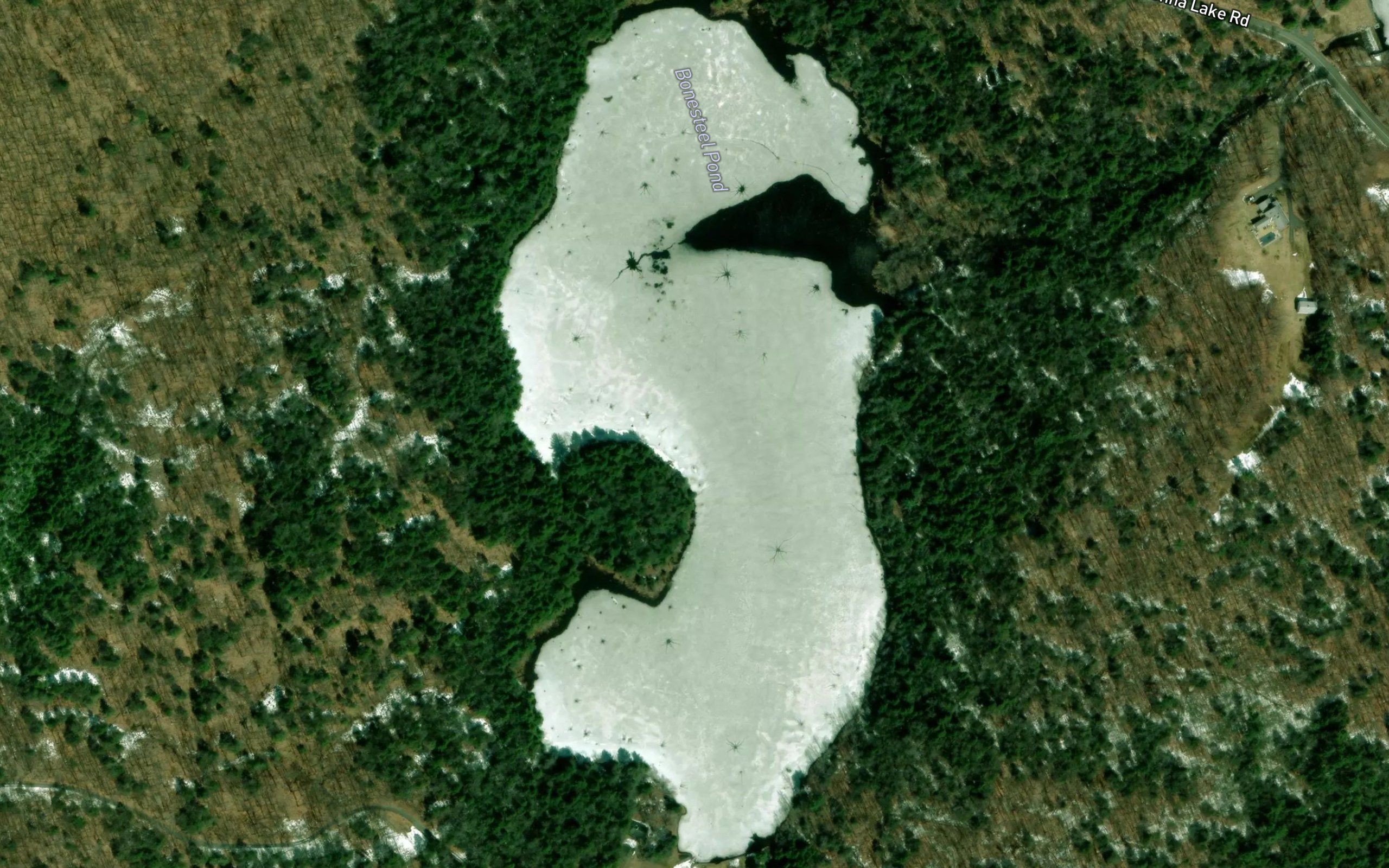 Bonesteel Pond