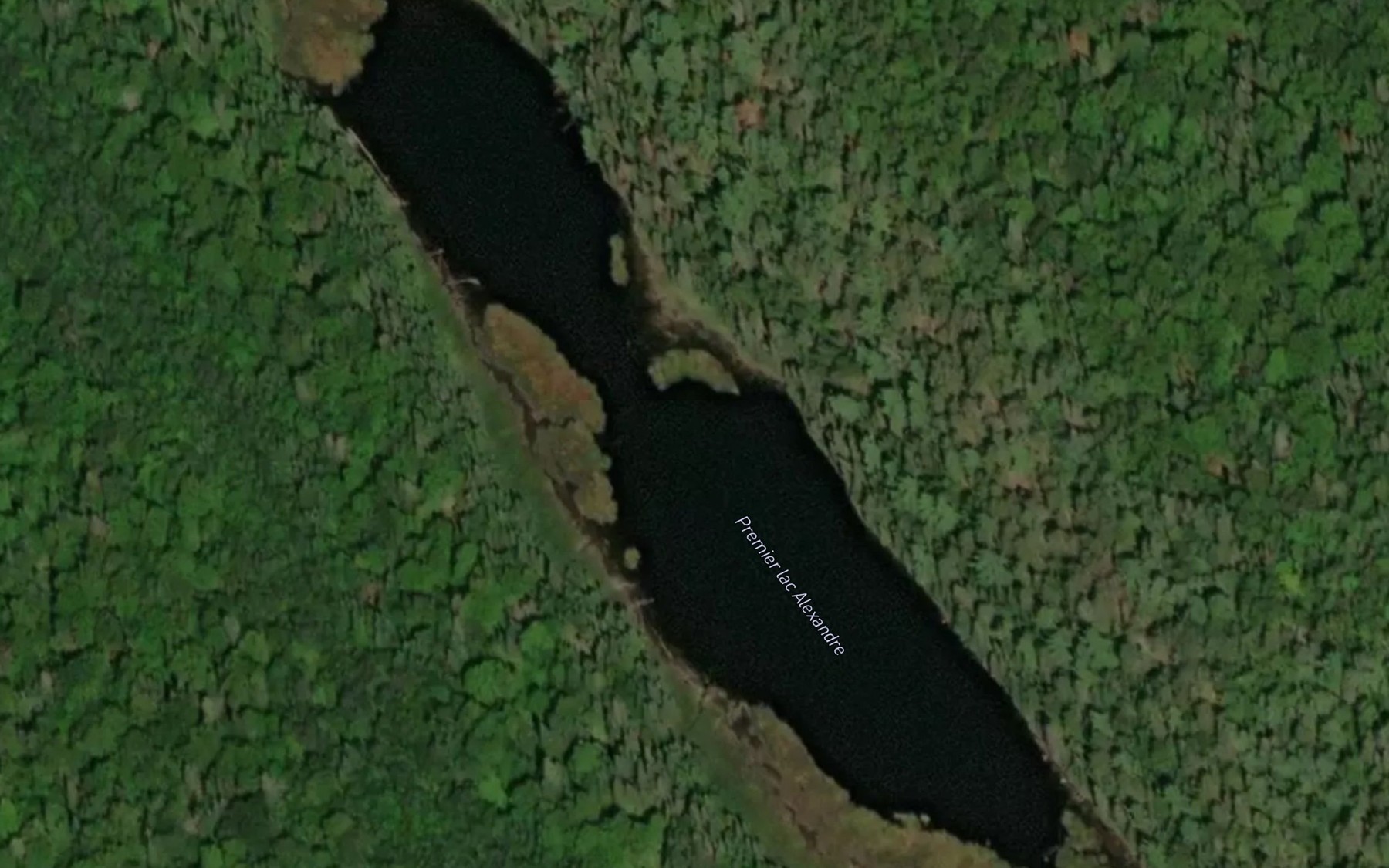 Satellite map of the Premier lac Alexandre