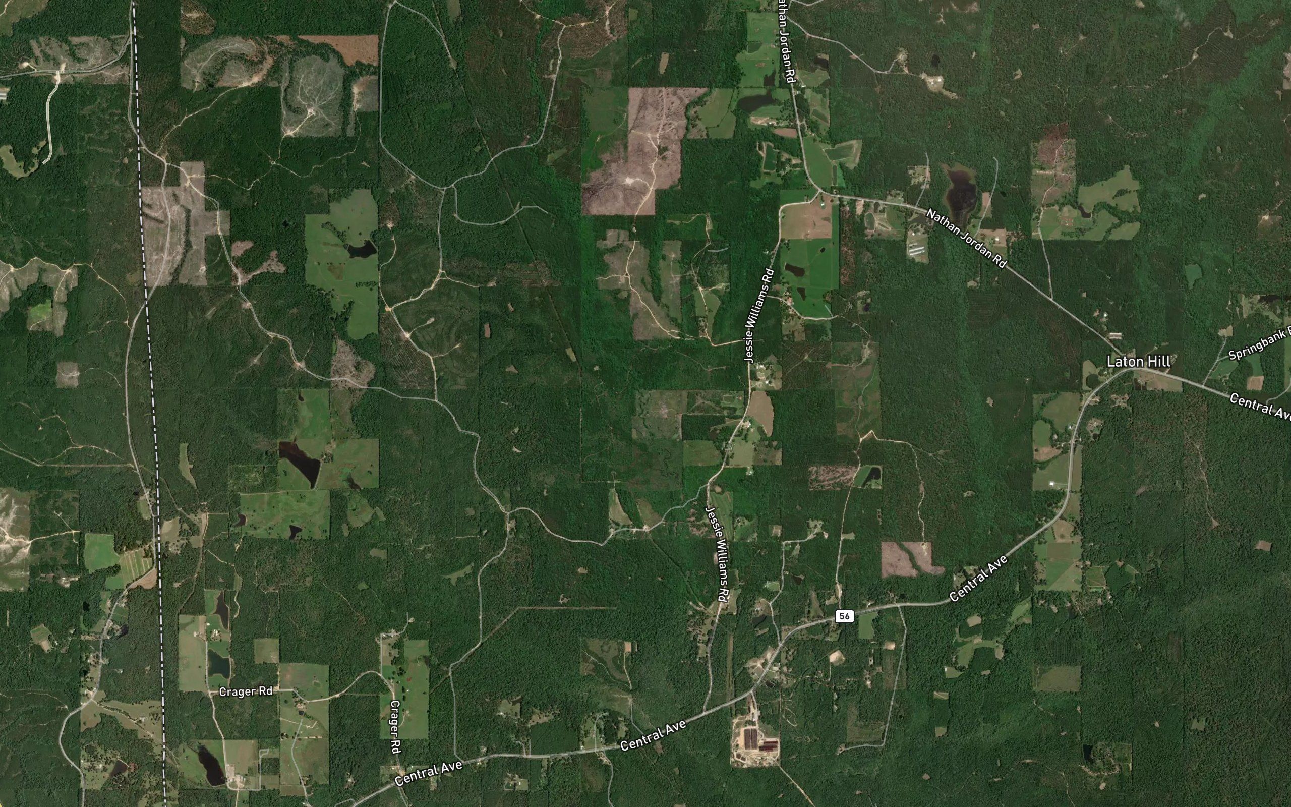 Sawmill Branch