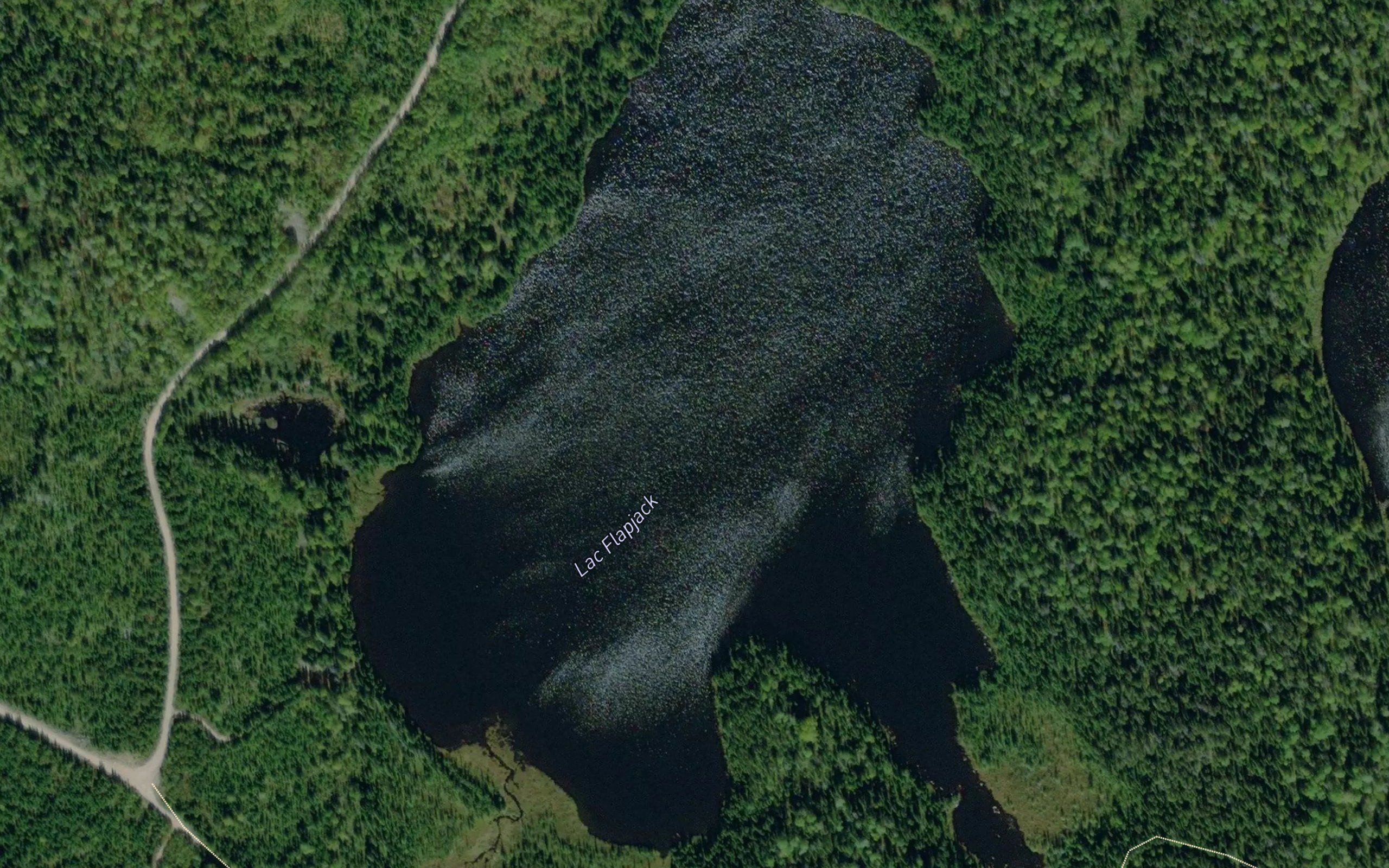 Lac Flapjack