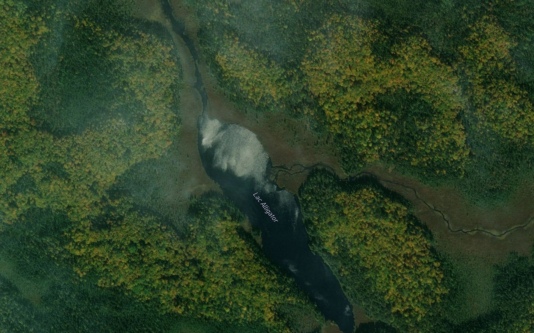 Satellite map of the Lac Alligator