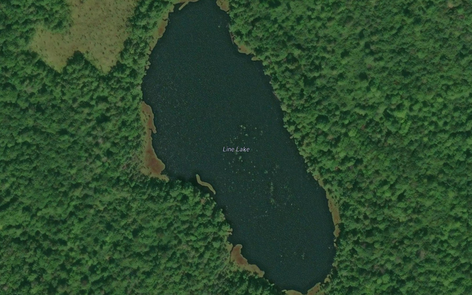 Satellite map of the Line Lake
