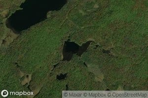 Little Lilly Pad Pond