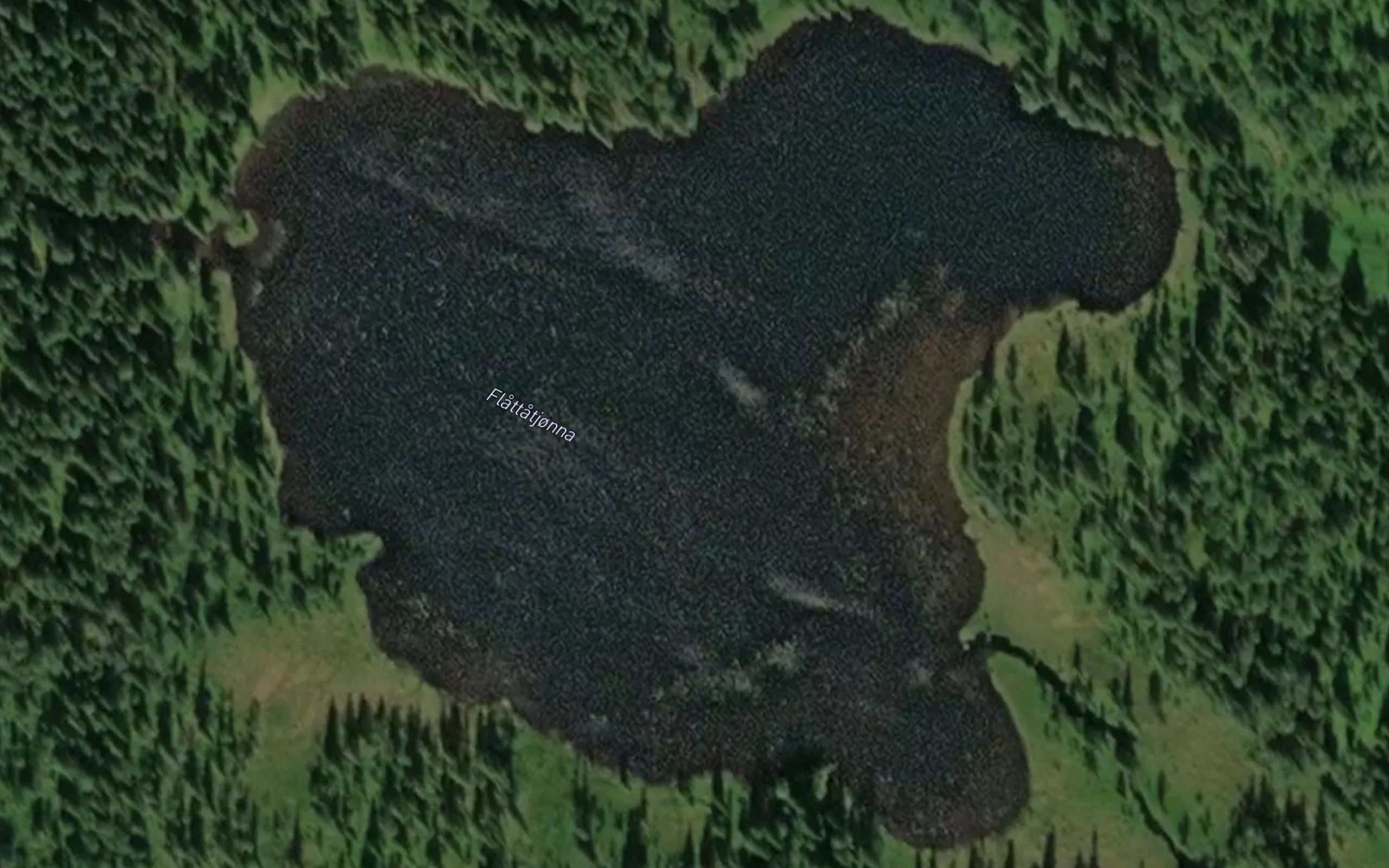 Flattatjonna