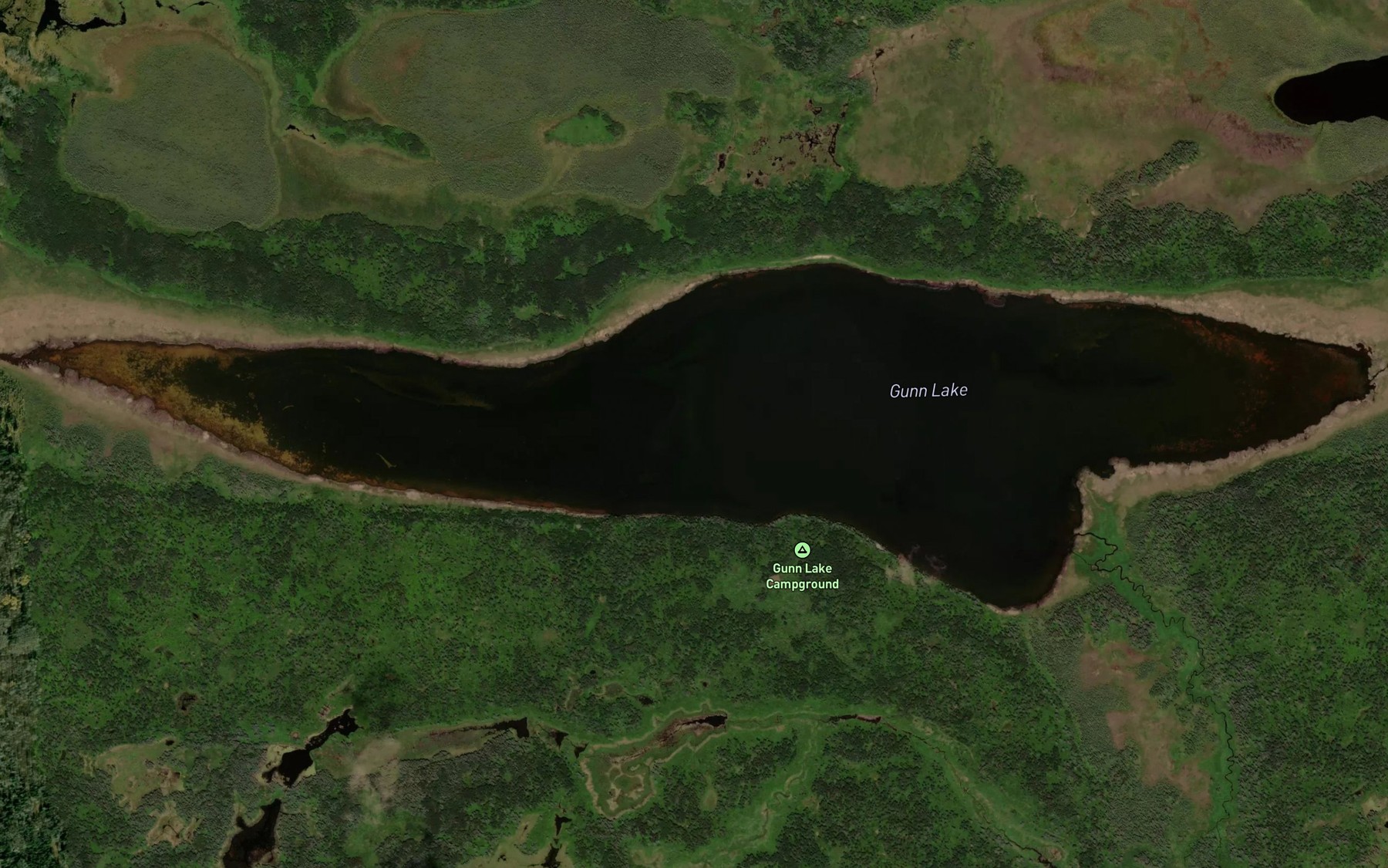 Satellite map of the Gunn Lake