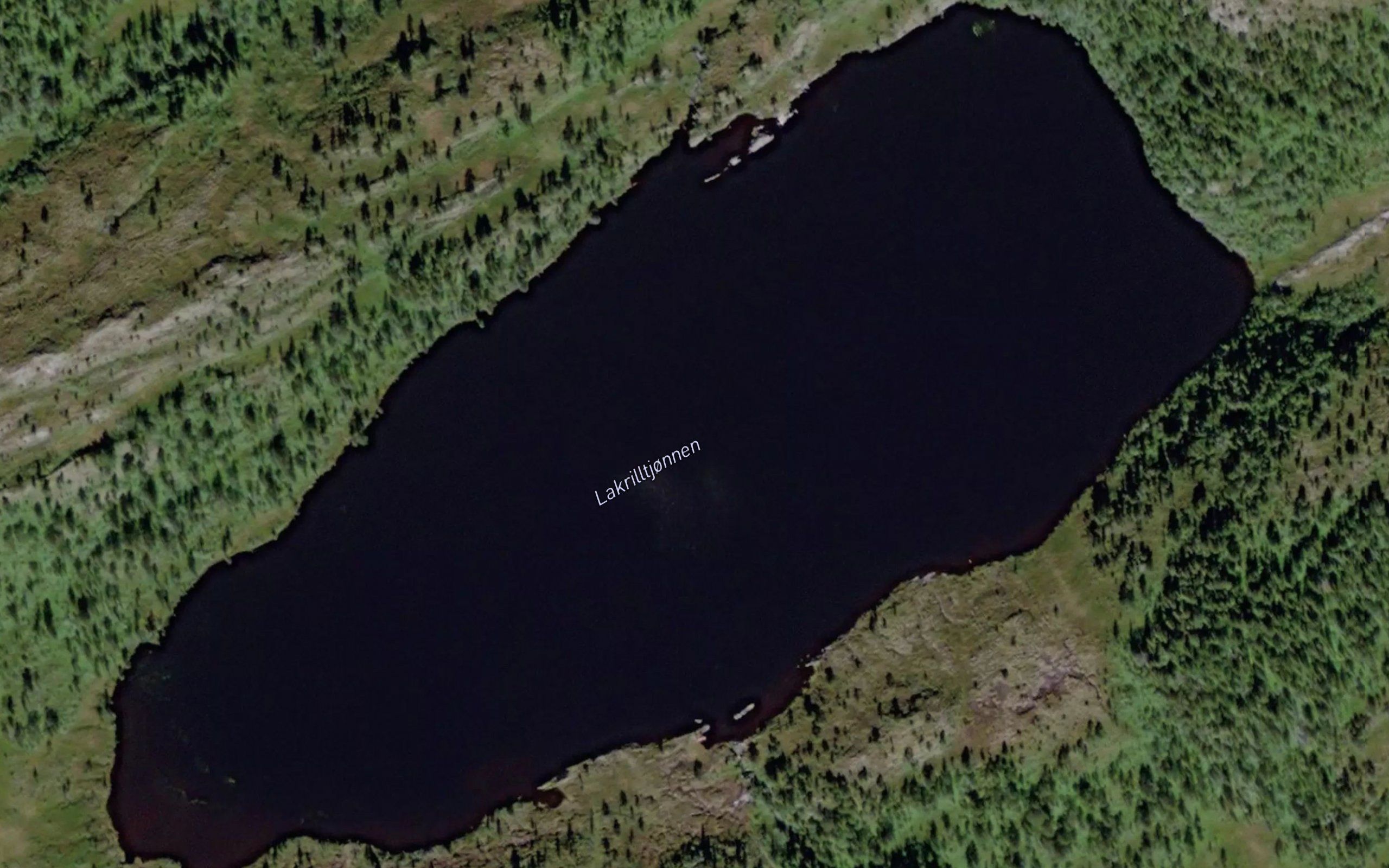 Lakviltjornane