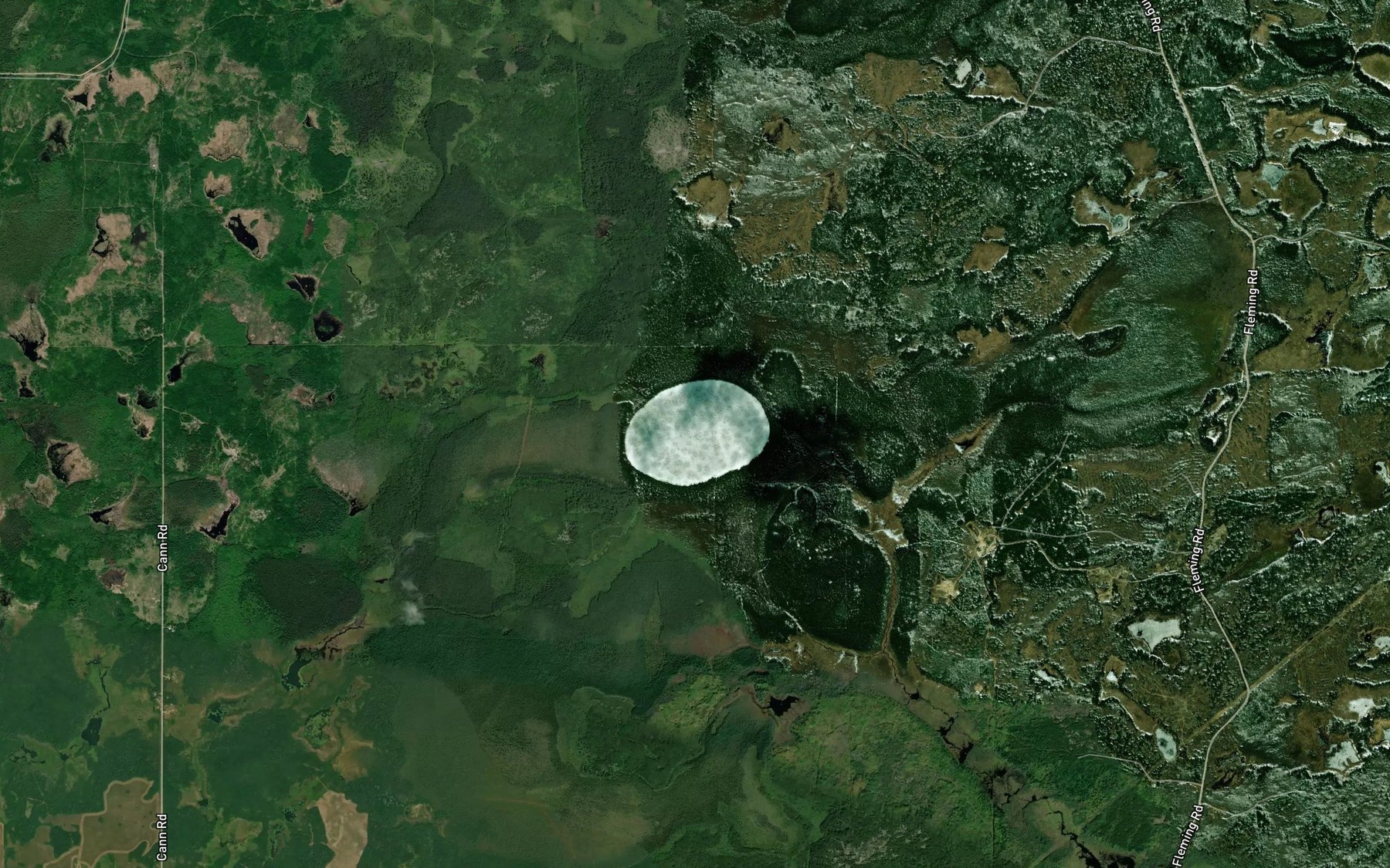 Satellite map of the Abbott Lake