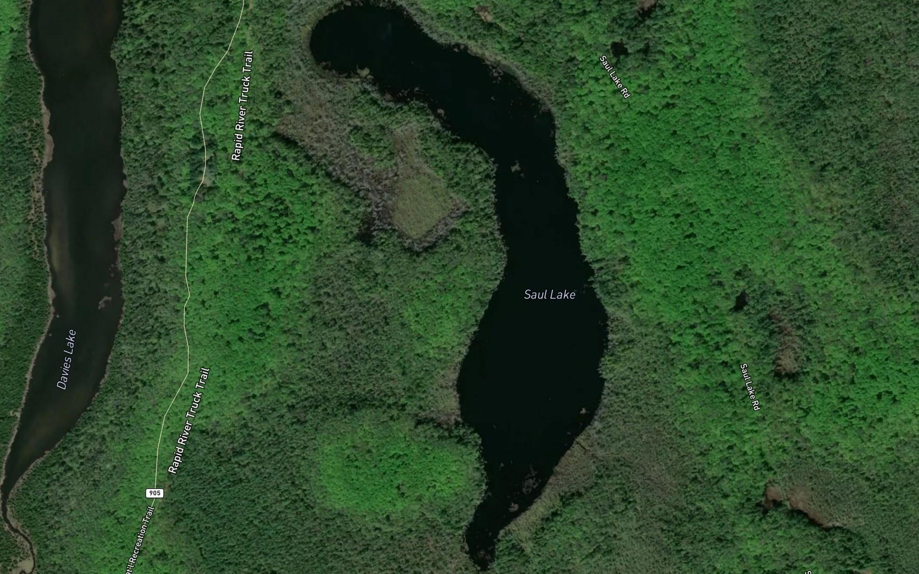 Satellite map of the Saul Lake