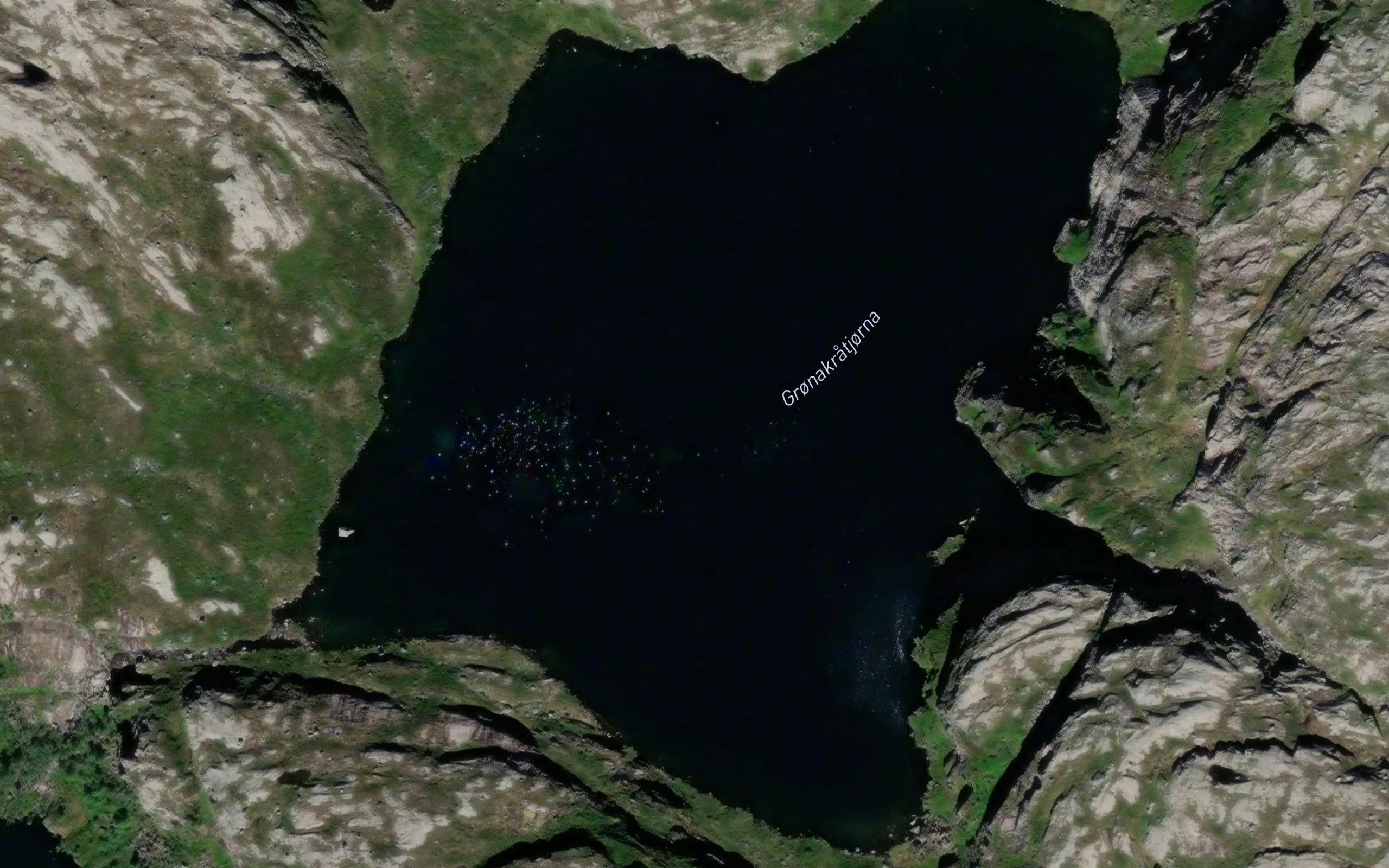 Gronakratjorna