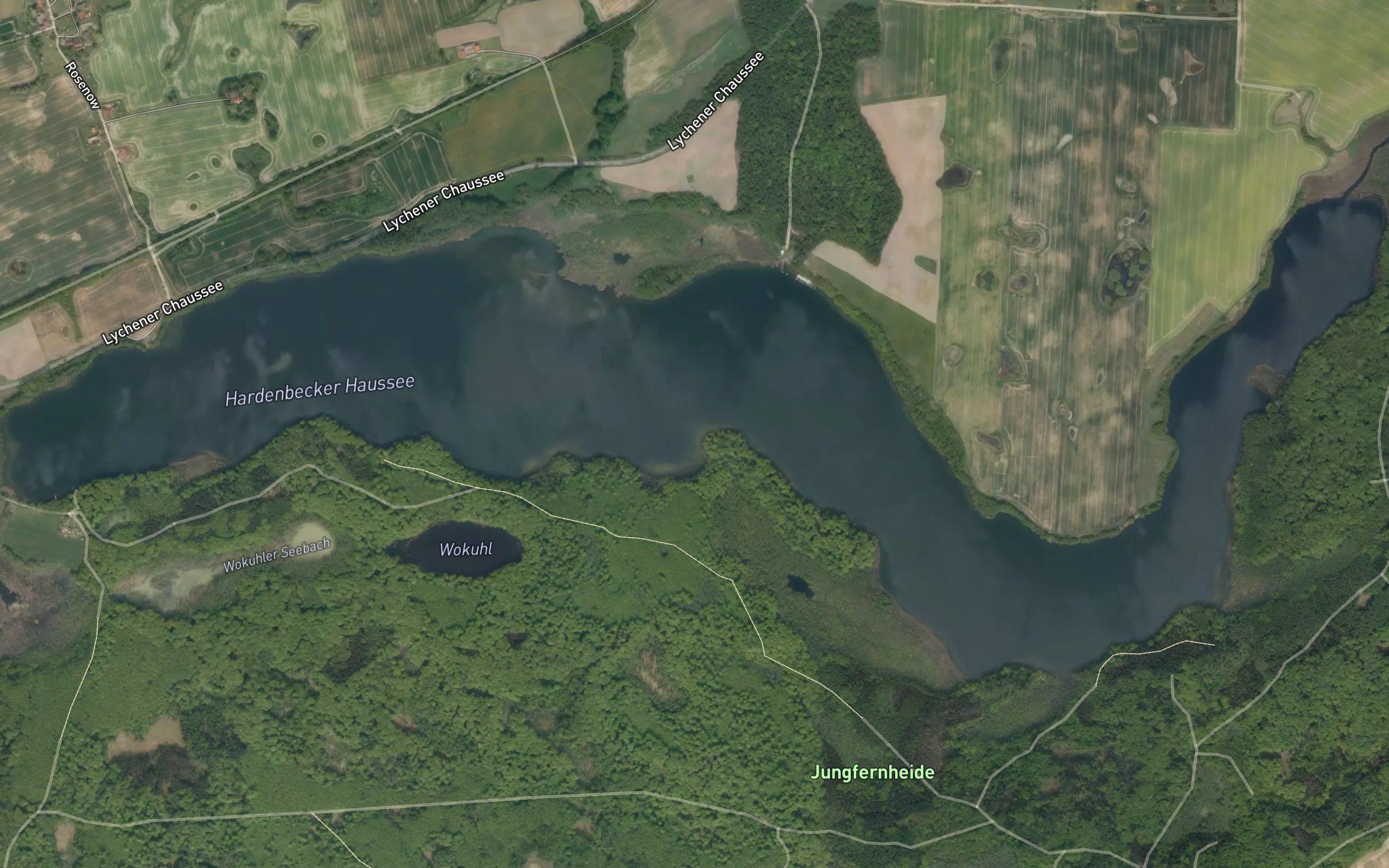 Haussee
