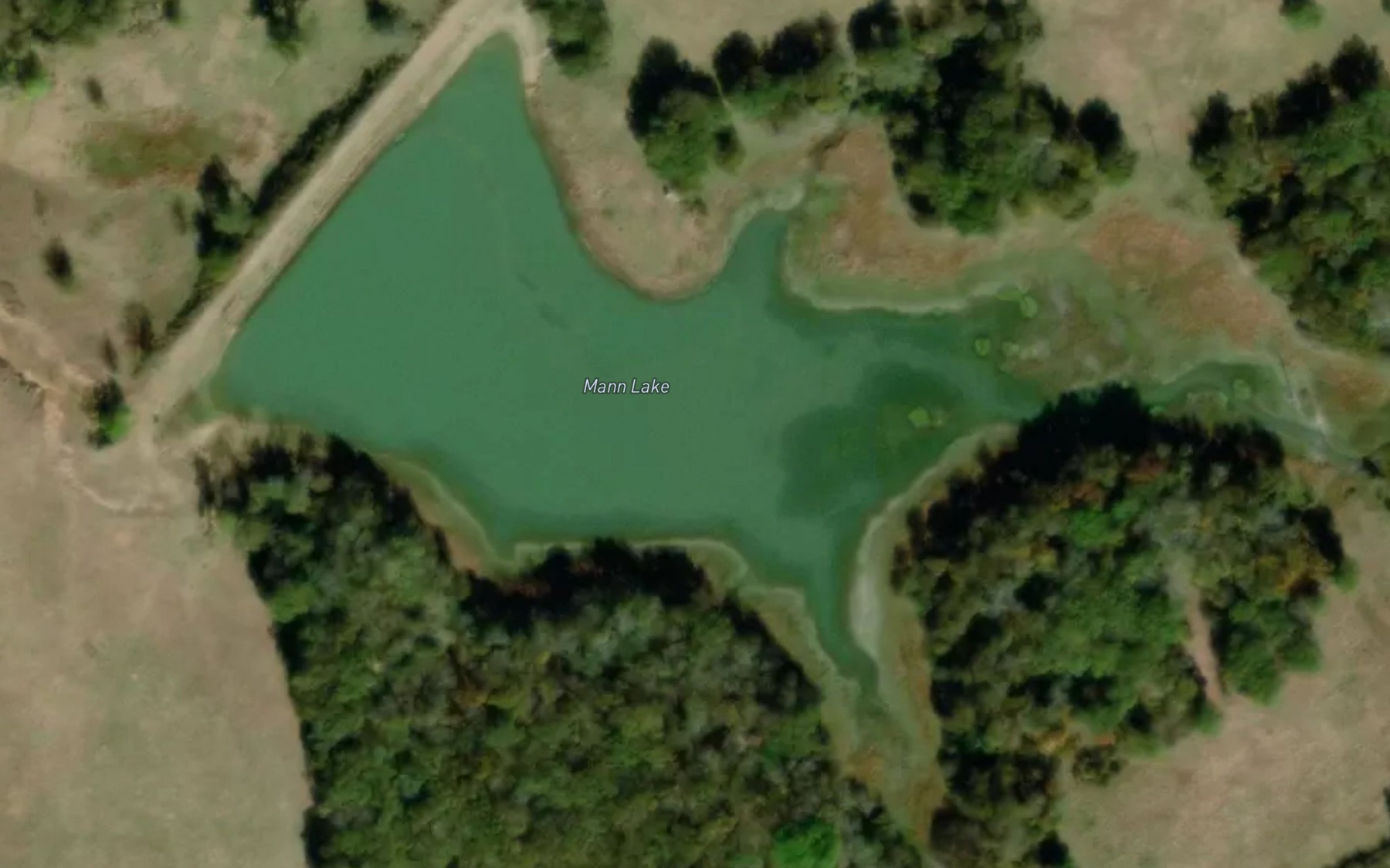 Satellite map of the Mann Lake