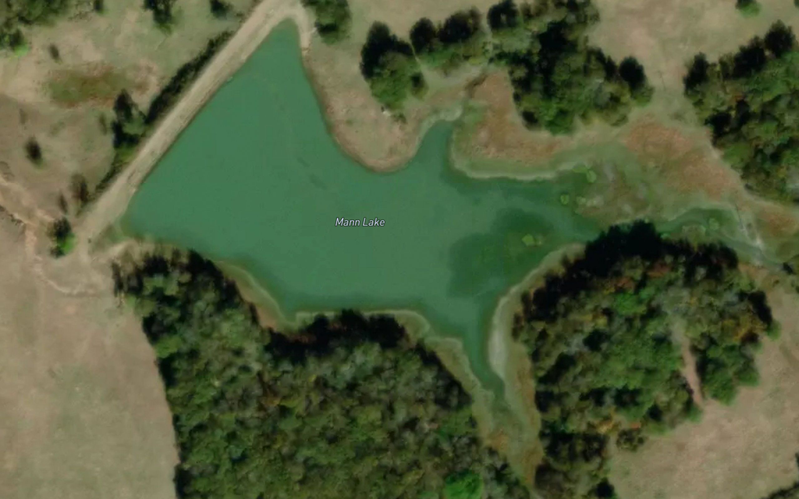 Mann Lake