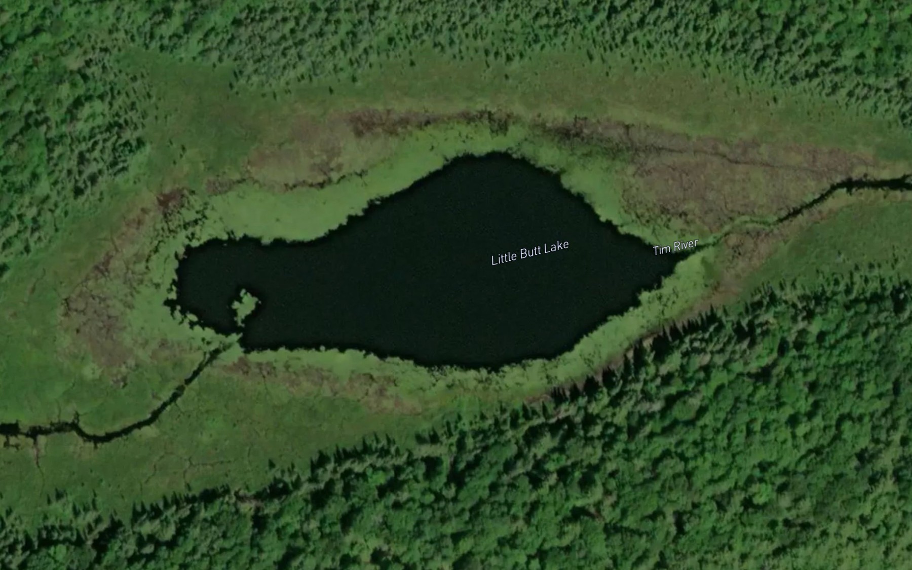 Satellite map of the Little Butt Lake