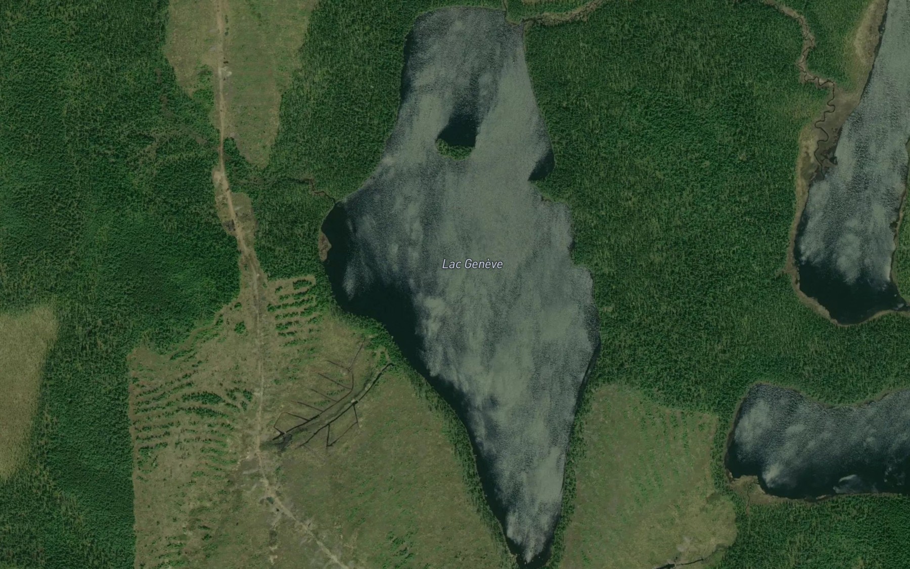 Satellite map of the Lac Geneve