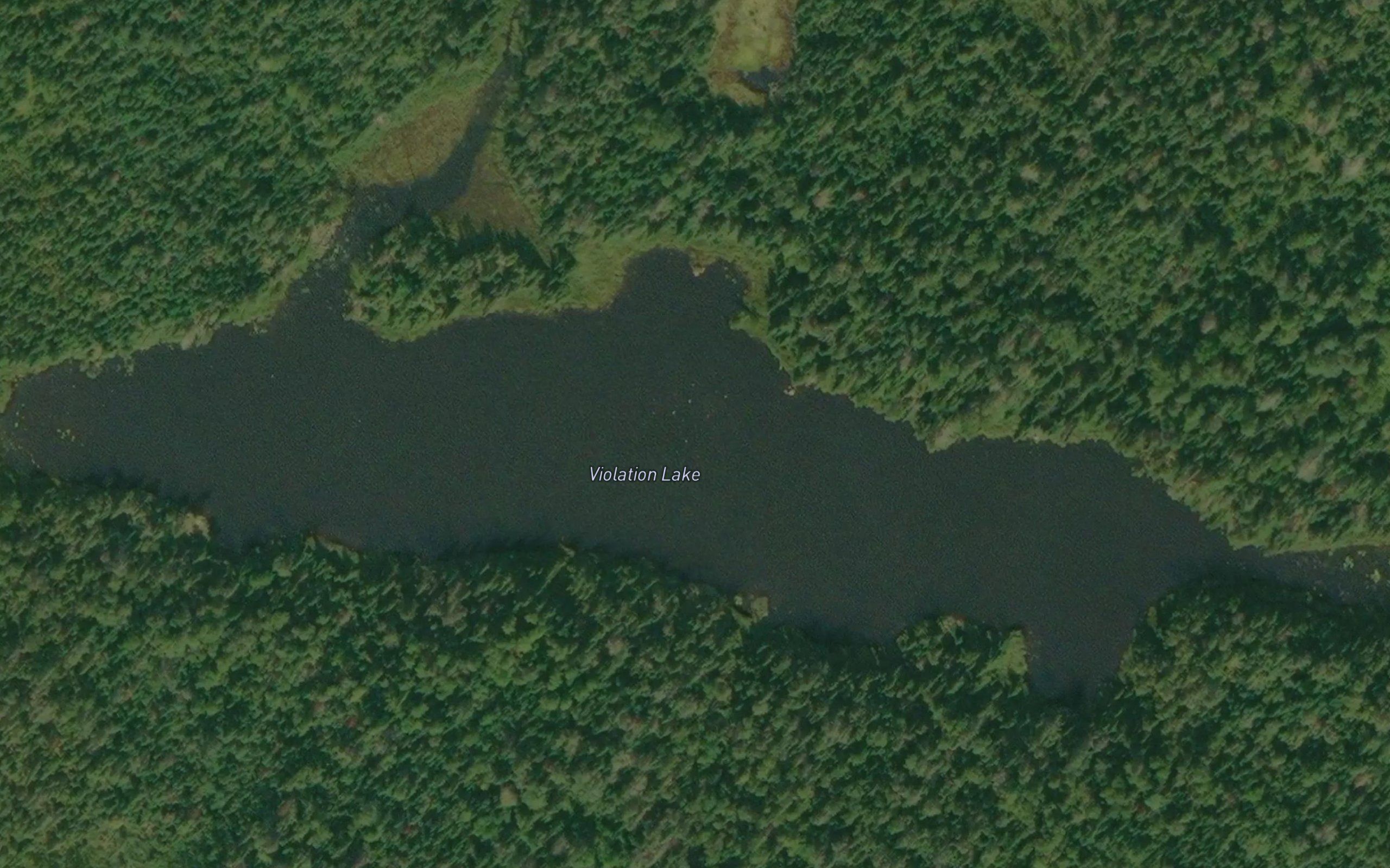 Violation Lake
