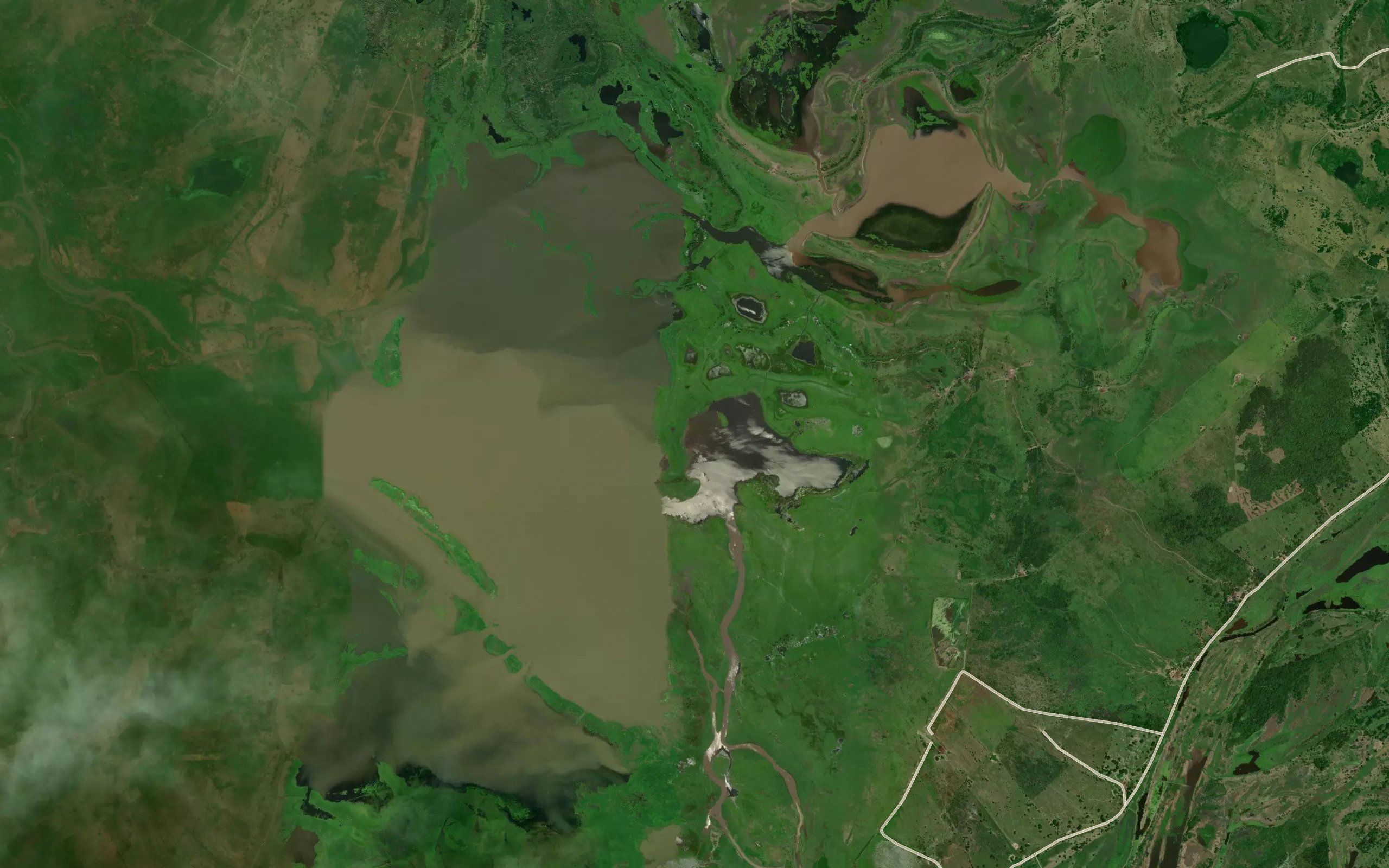 Cienaga La Ceibita